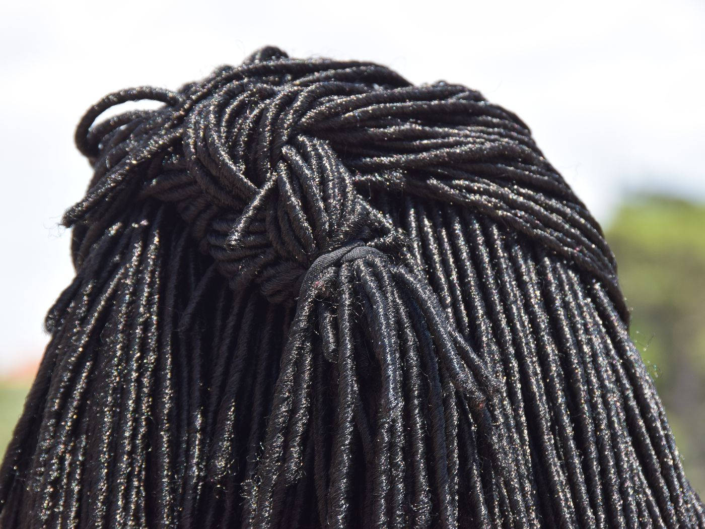 dreadlocks, glossy black, braided hair, HD Desktop Wallpaper