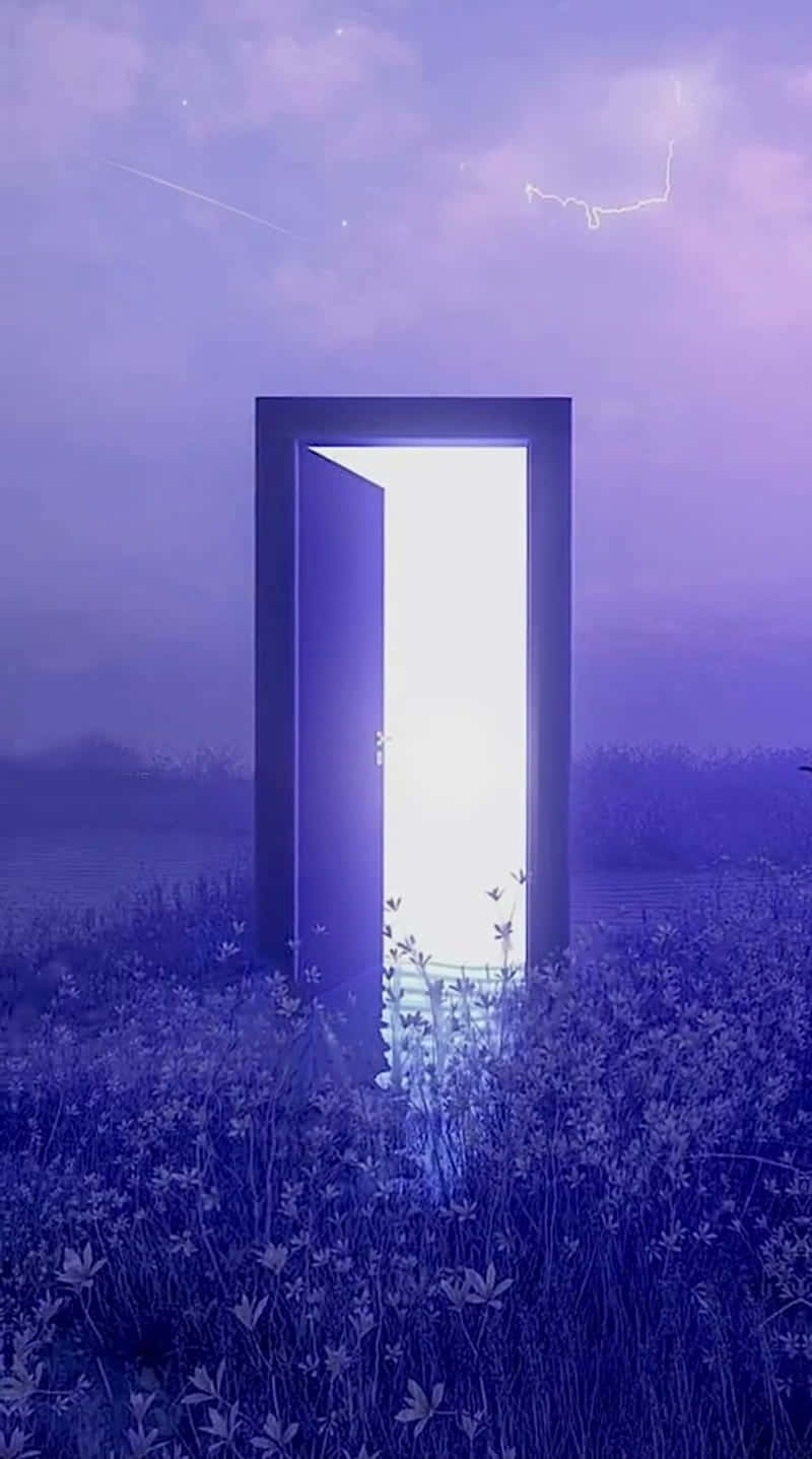 Dream Aesthetic, glowing doorway, misty purple field, HD Phone Wallpaper