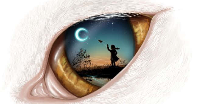 cat's eye, child flying a kite, crescent moon, SD Desktop Wallpaper