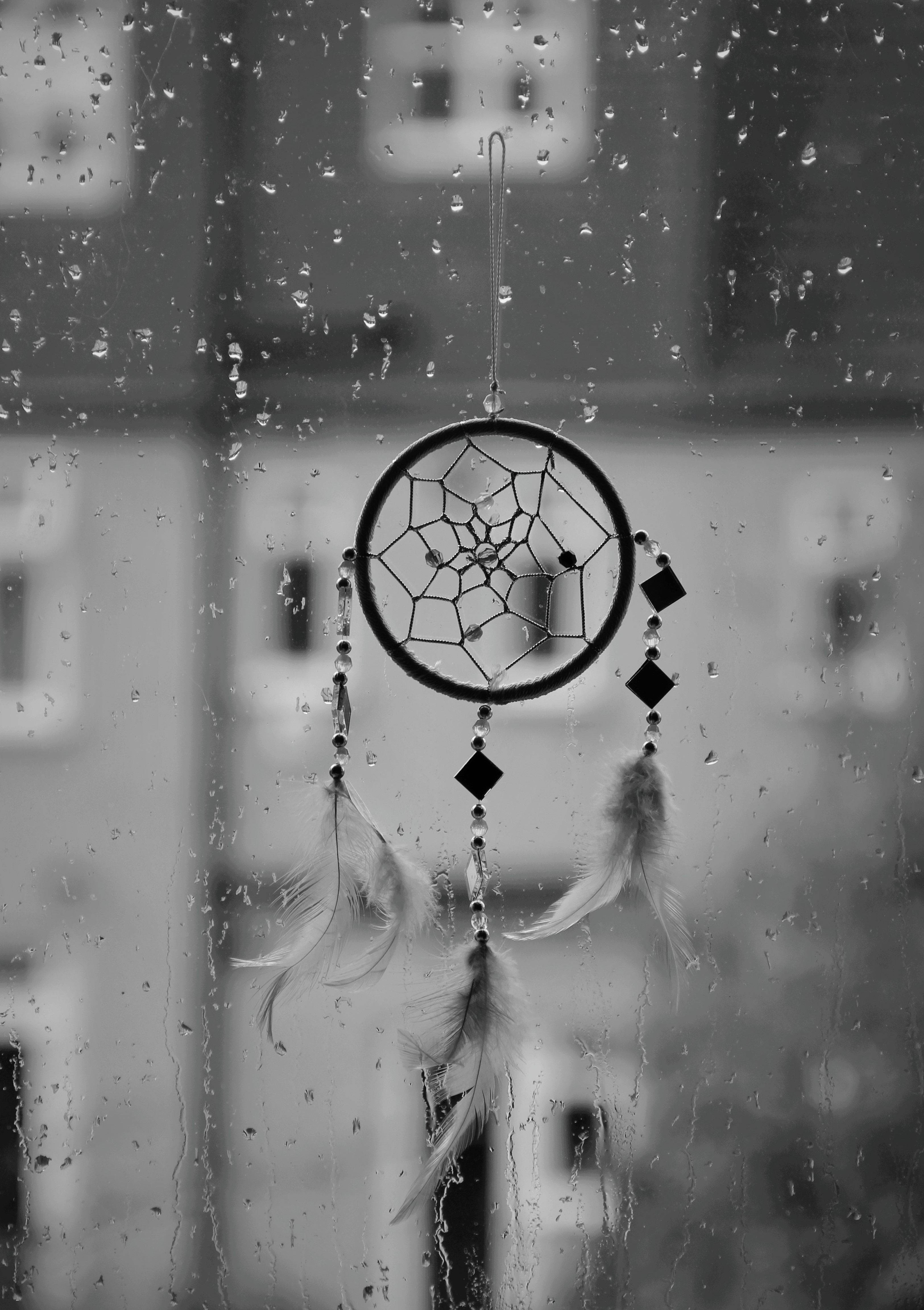 Dream Catcher, monochrome, feathers, 4K Phone Wallpaper