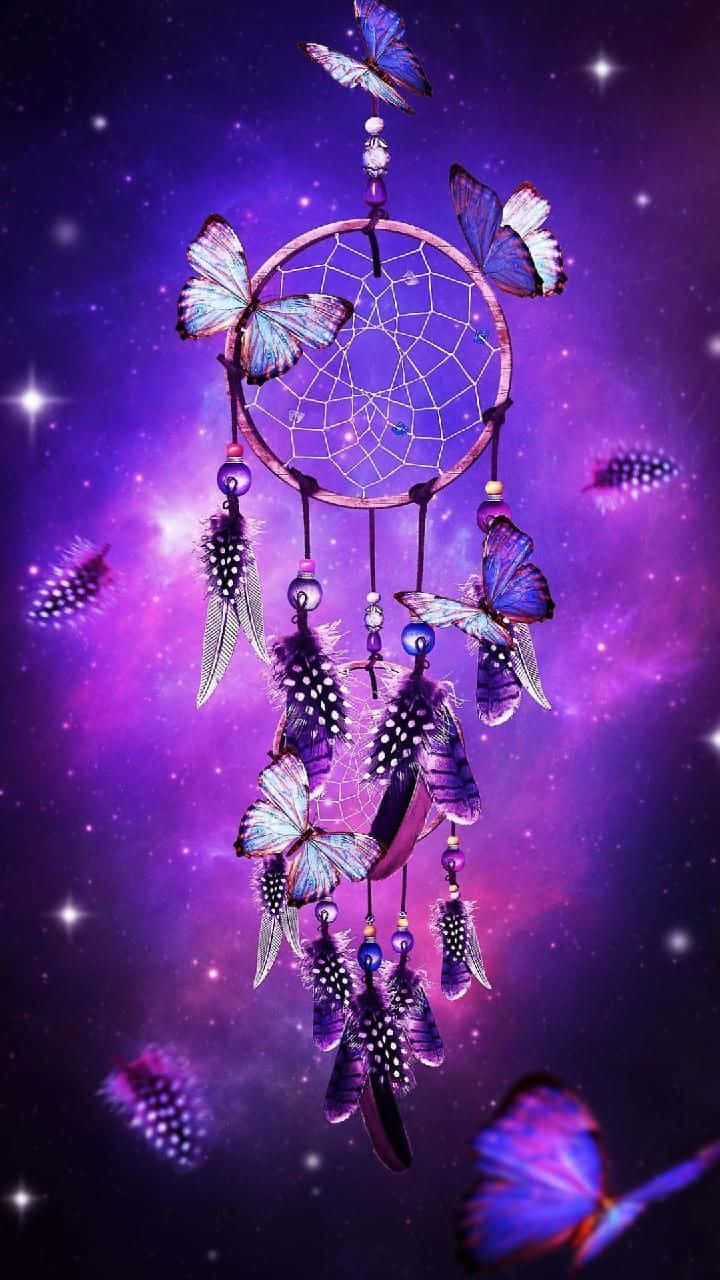 dreamcatcher, purple butterflies, feathers, HD Phone Wallpaper