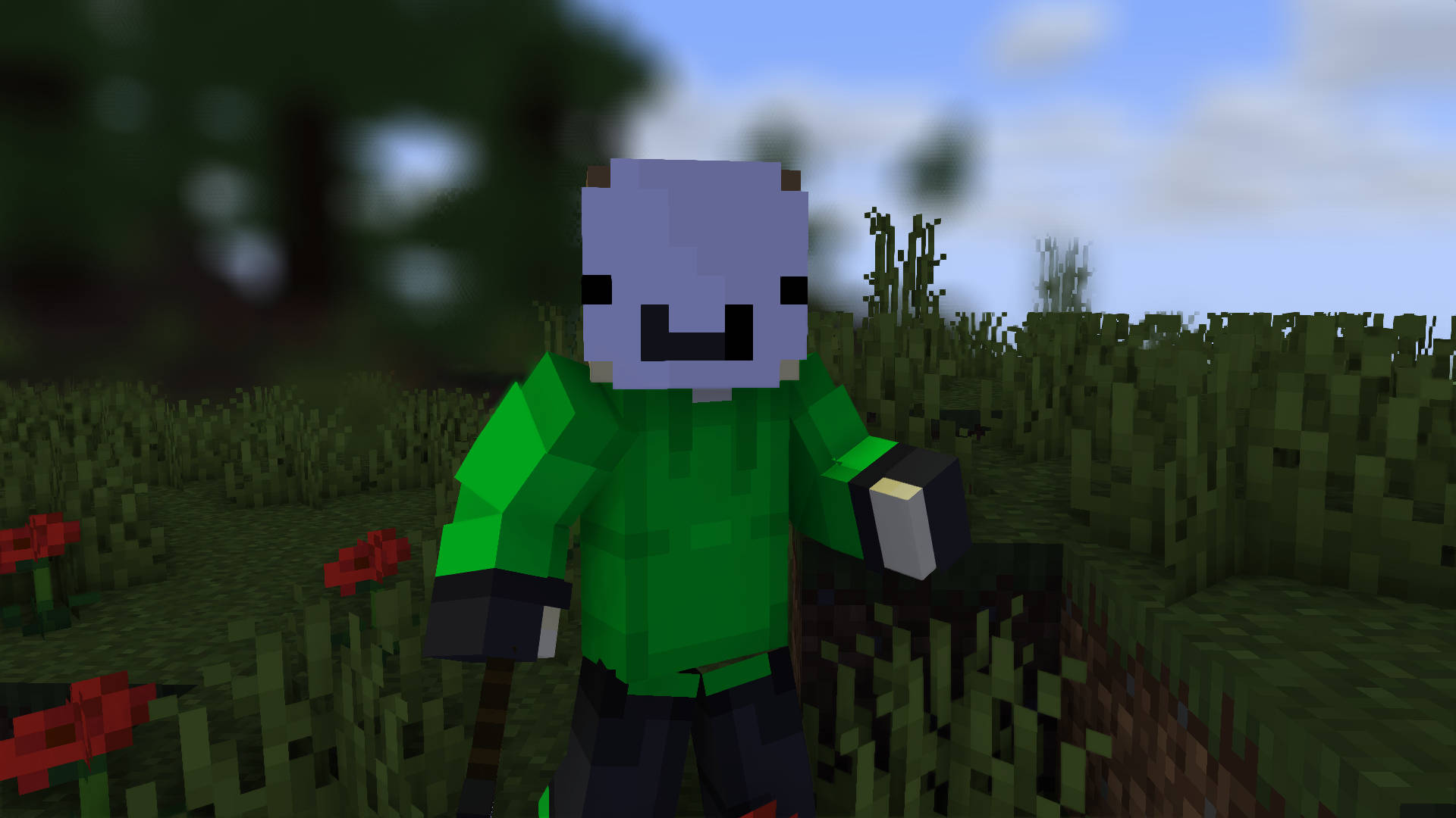 Minecraft, Dream, green shirt, Full HD Desktop Wallpaper