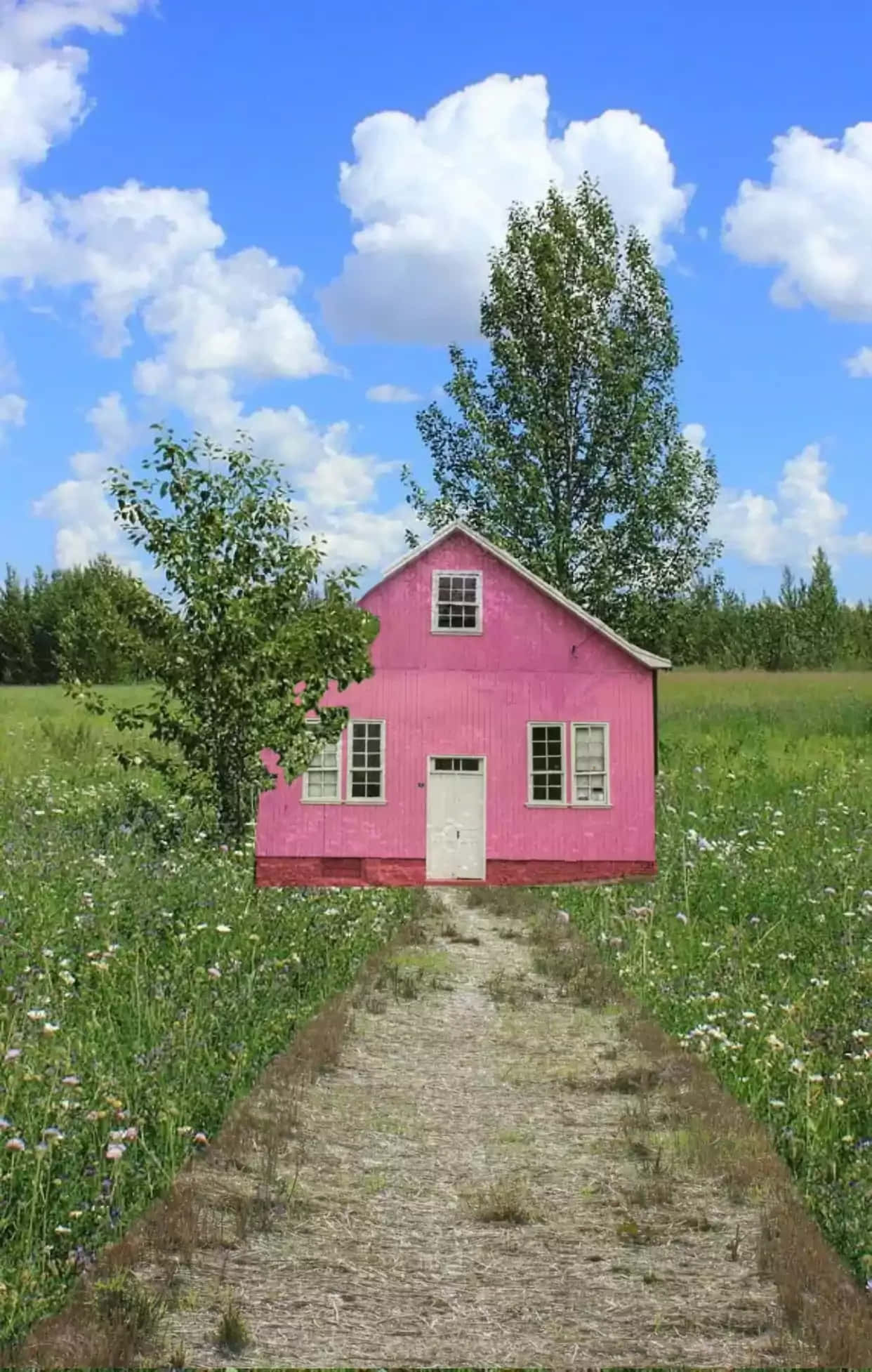 pink wooden house, white trim, sunlit meadow, Full HD Phone Wallpaper