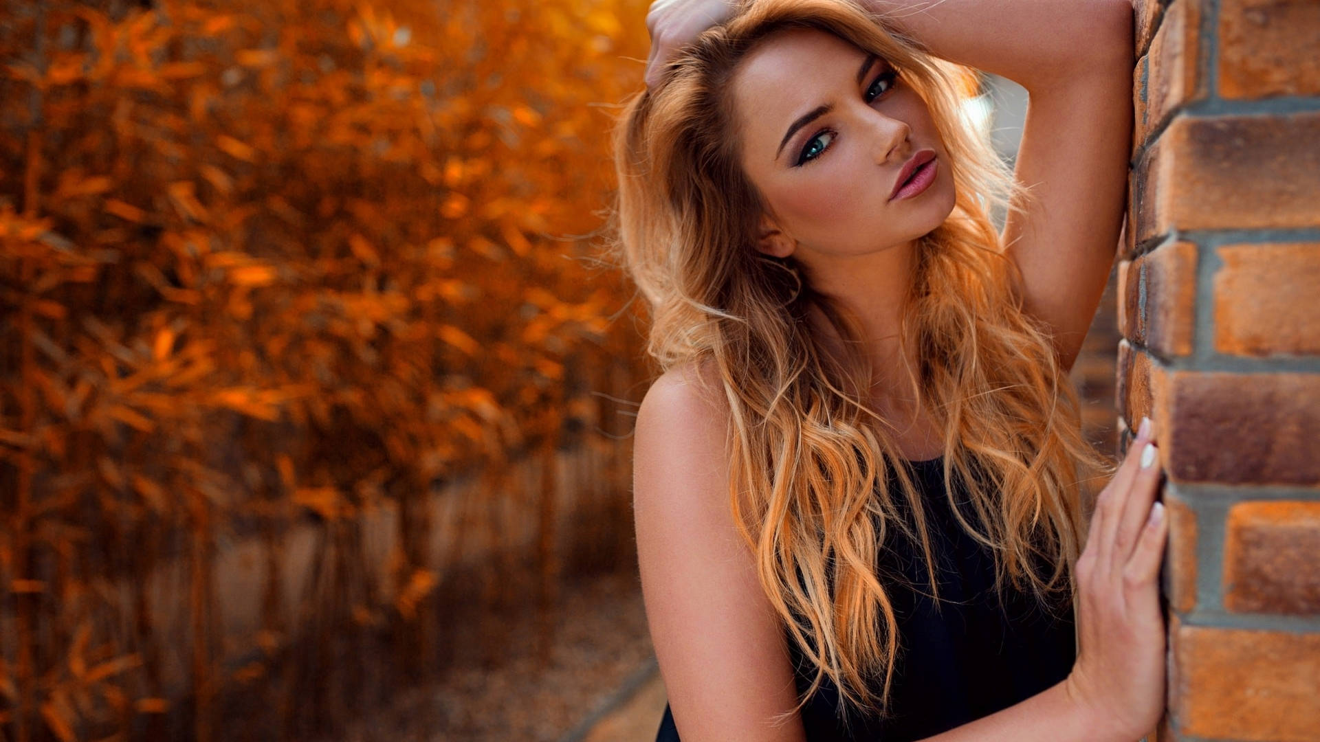 golden hair, brick wall, autumn foliage, Full HD Desktop Wallpaper