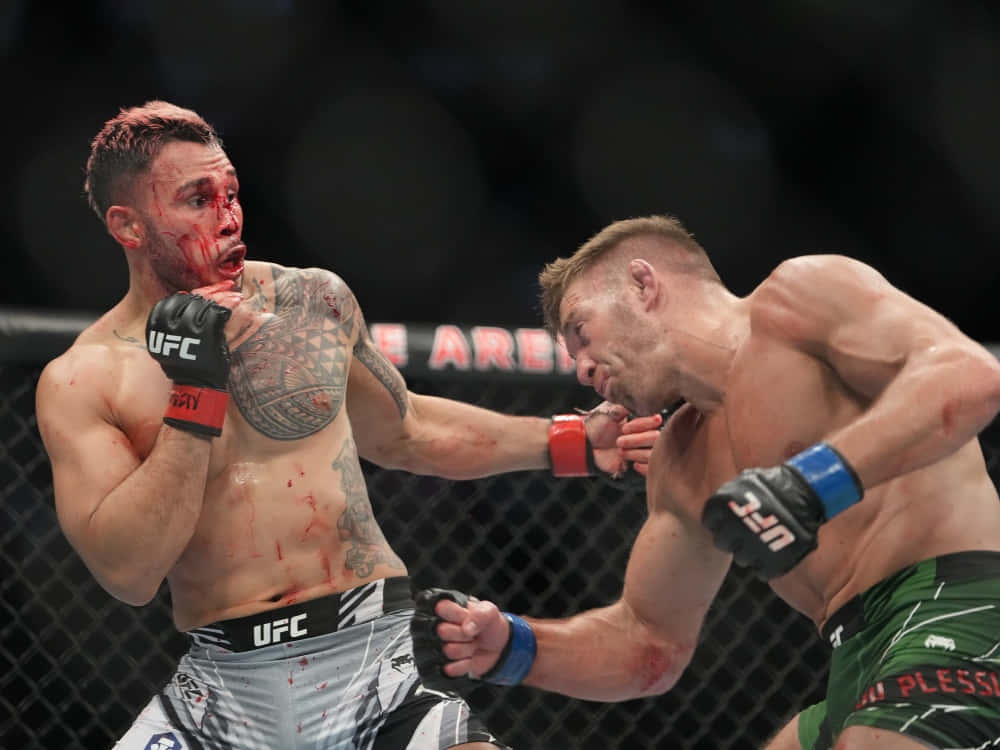 Dricus Du Plessis, MMA fighters, cage match, SD Desktop Wallpaper