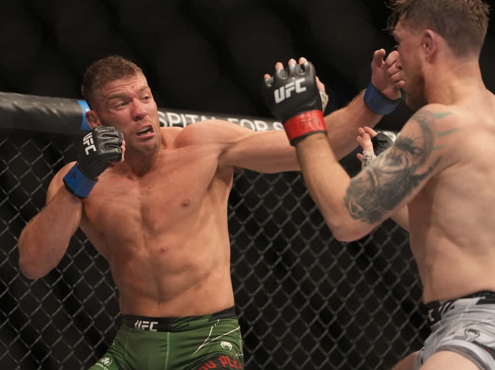 Dricus Du Plessis, MMA fighters, cage match, SD Desktop Wallpaper