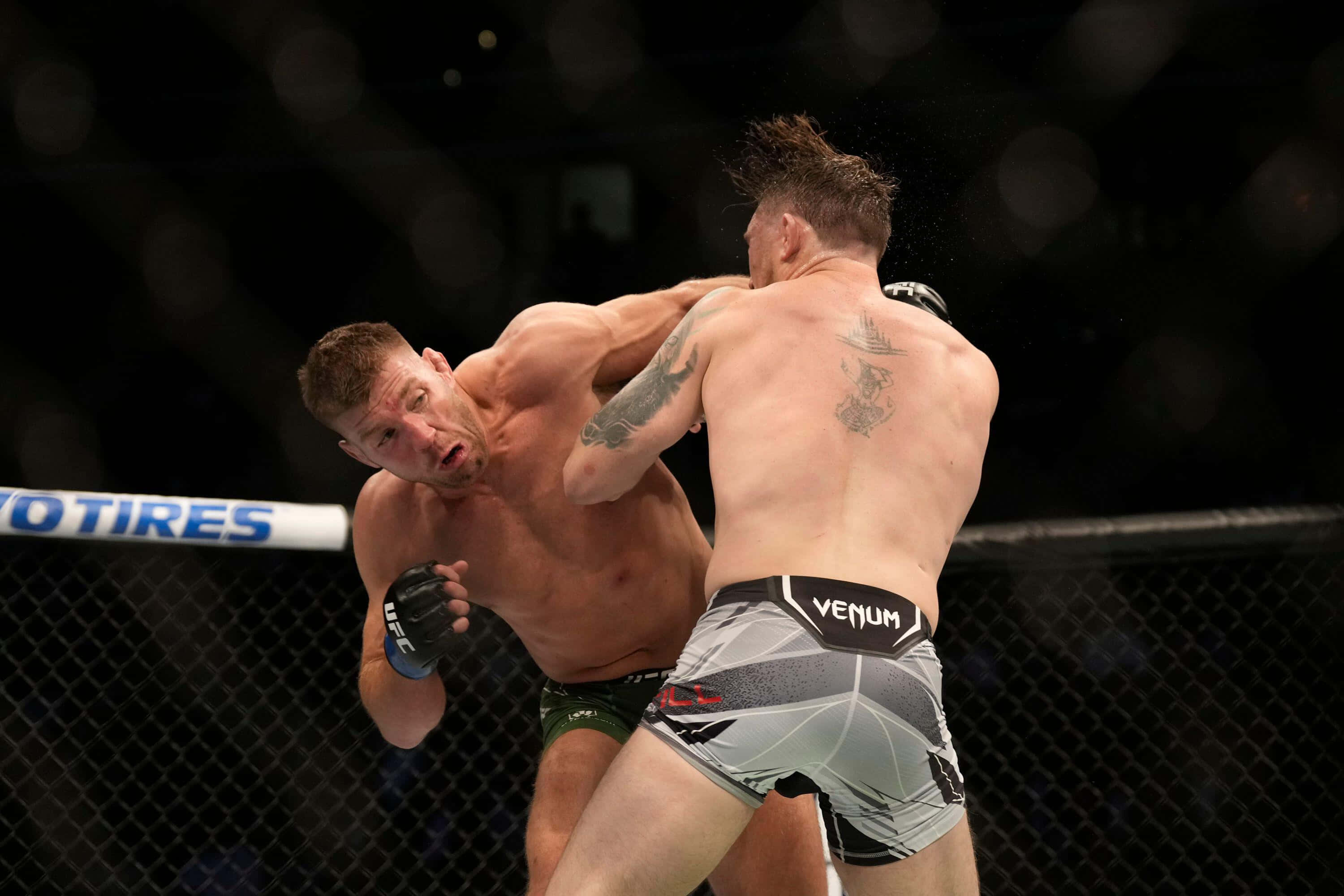 Dricus Du Plessis, MMA match, dimly lit octagon, 2K Desktop Wallpaper