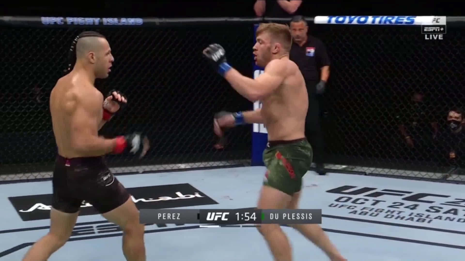 Dricus Du Plessis, UFC match, cage, Full HD Desktop Wallpaper