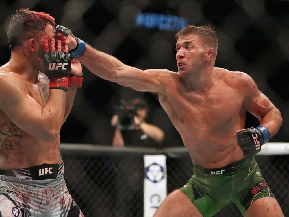Dricus Du Plessis, UFC fighters, cage match, SD Desktop Wallpaper