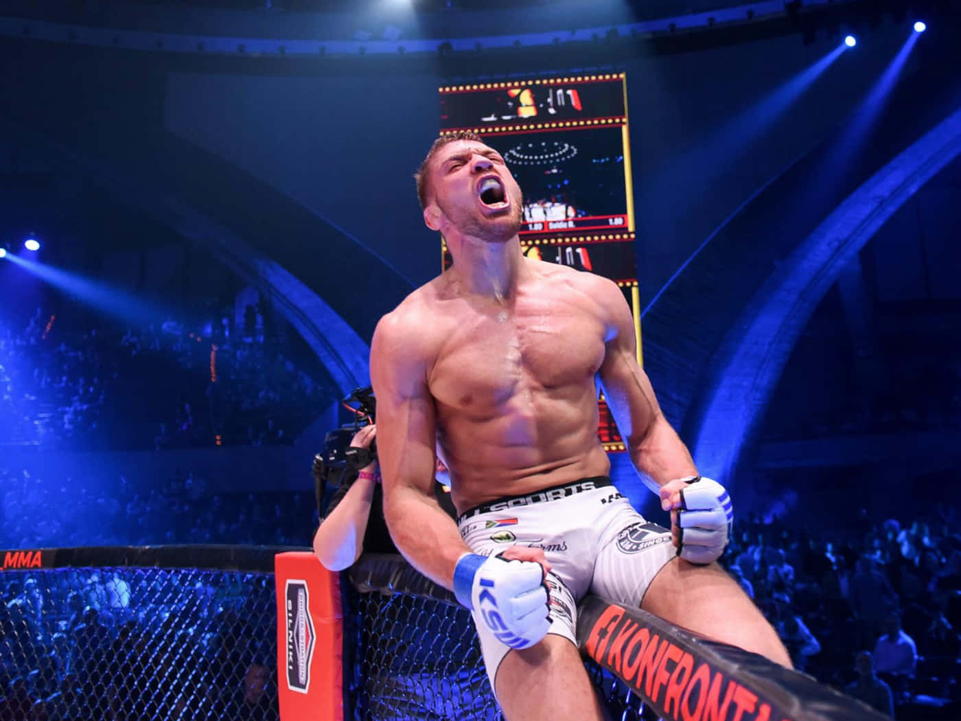 Dricus Du Plessis, cage fence, bright blue arena lights, HD Desktop Wallpaper