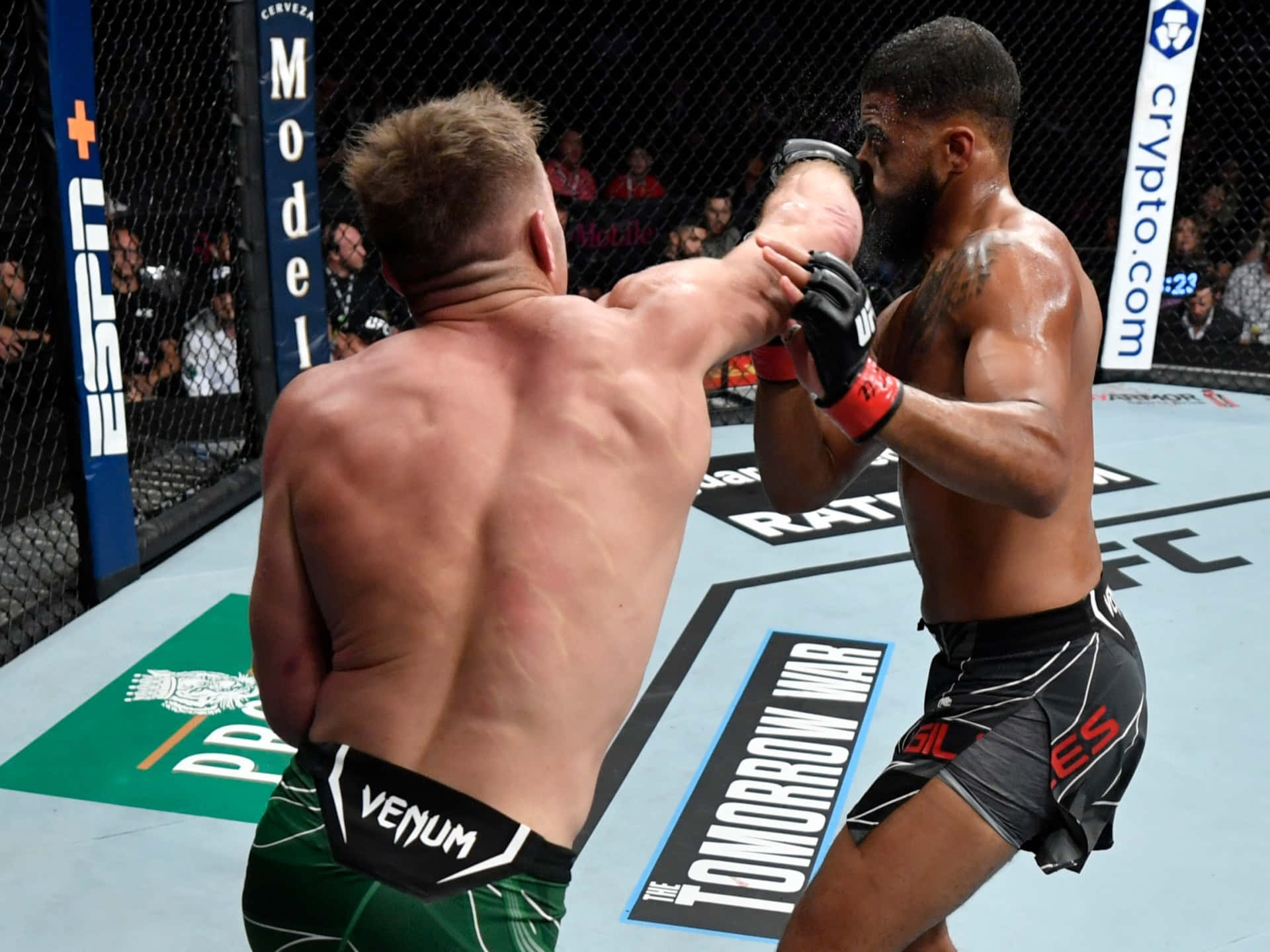Dricus Du Plessis, UFC match, cage, Full HD Desktop Wallpaper