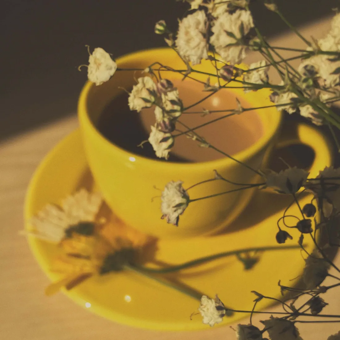 Dried Flowers