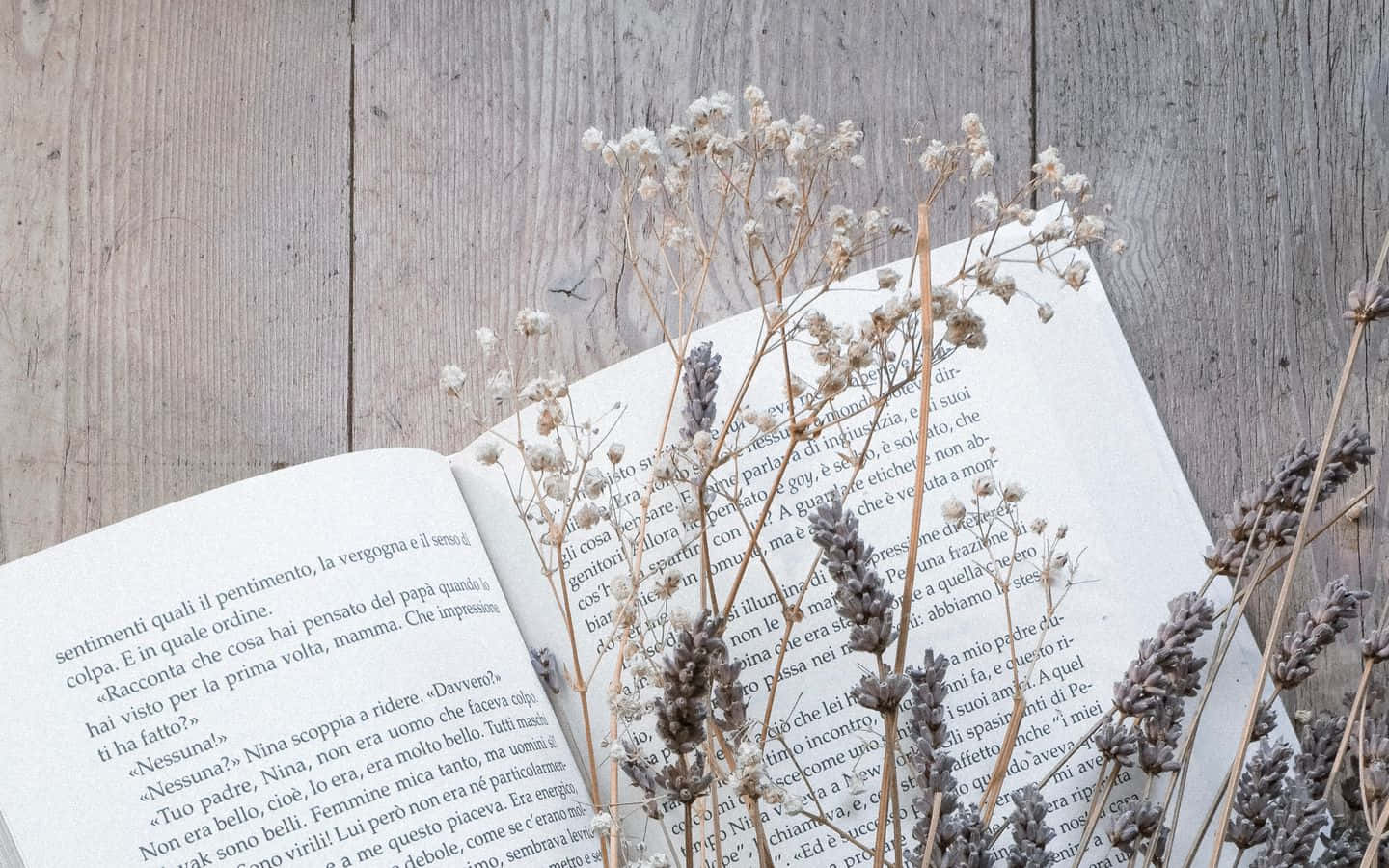 dried lavender sprigs, baby's breath flowers, open book, HD Desktop Wallpaper