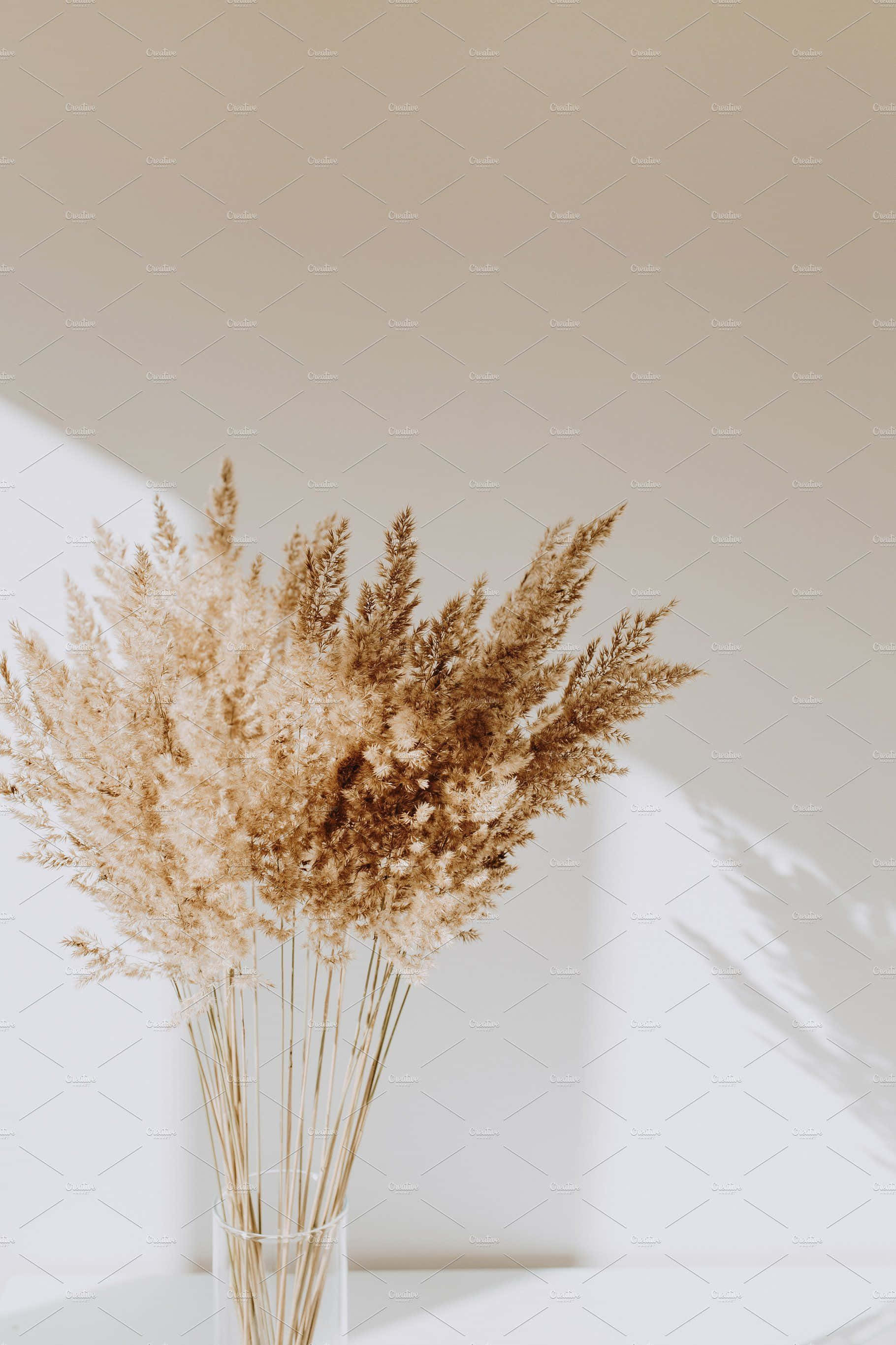 dried flowers, beige pampas grass, clear vase, 2K Phone Wallpaper