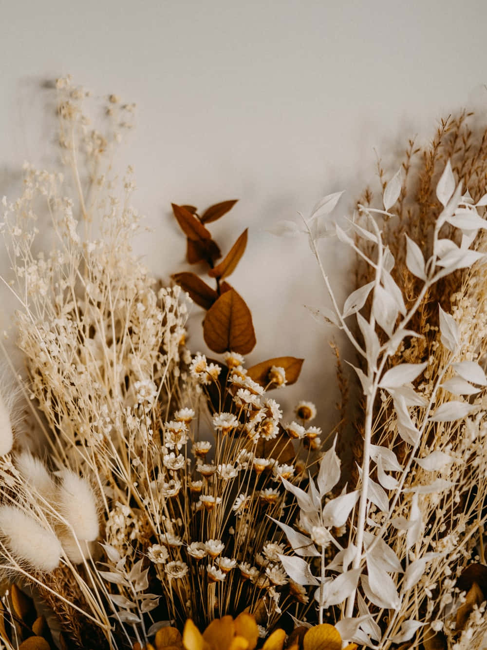 dried flowers, vase, warm beige, HD Phone Wallpaper