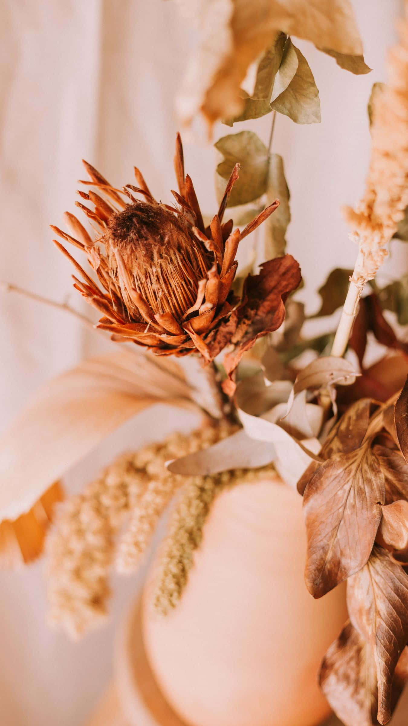 dried flowers, protea, eucalyptus, Full HD Phone Wallpaper