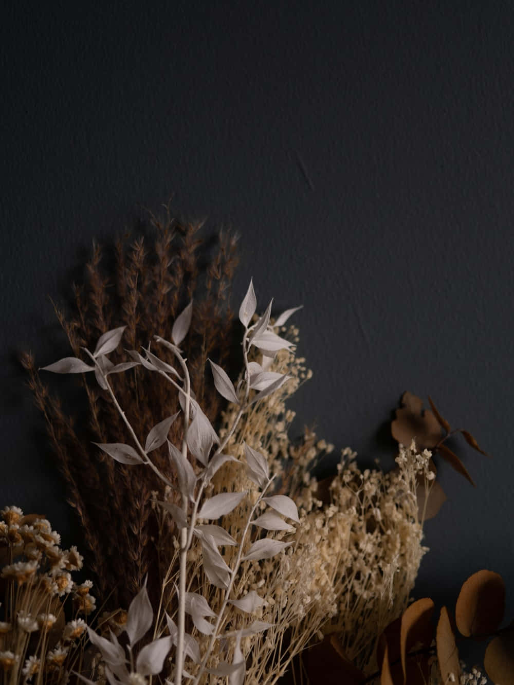 dried flowers, soft beige, brown tones, HD Phone Wallpaper