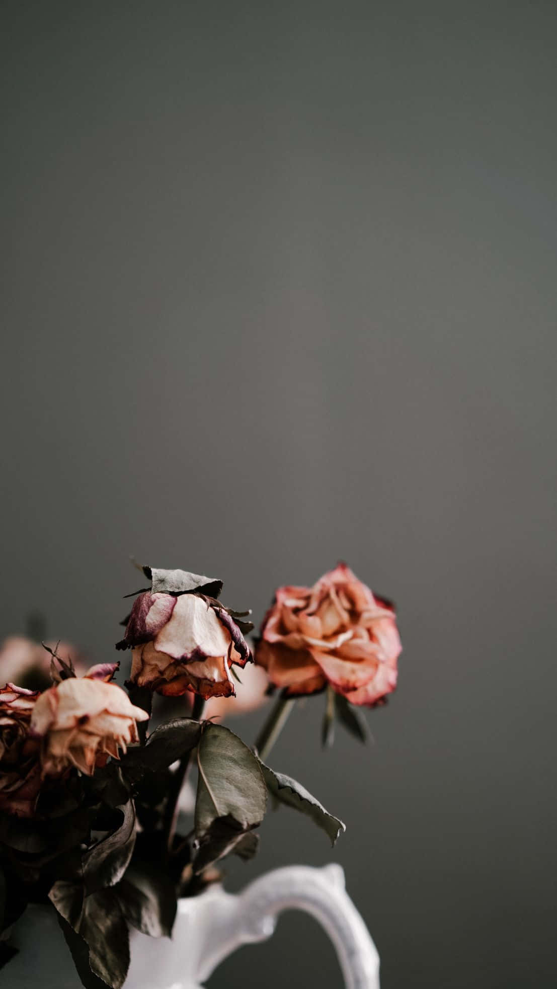 dried flowers, pink roses, white ceramic vase, Full HD Phone Wallpaper