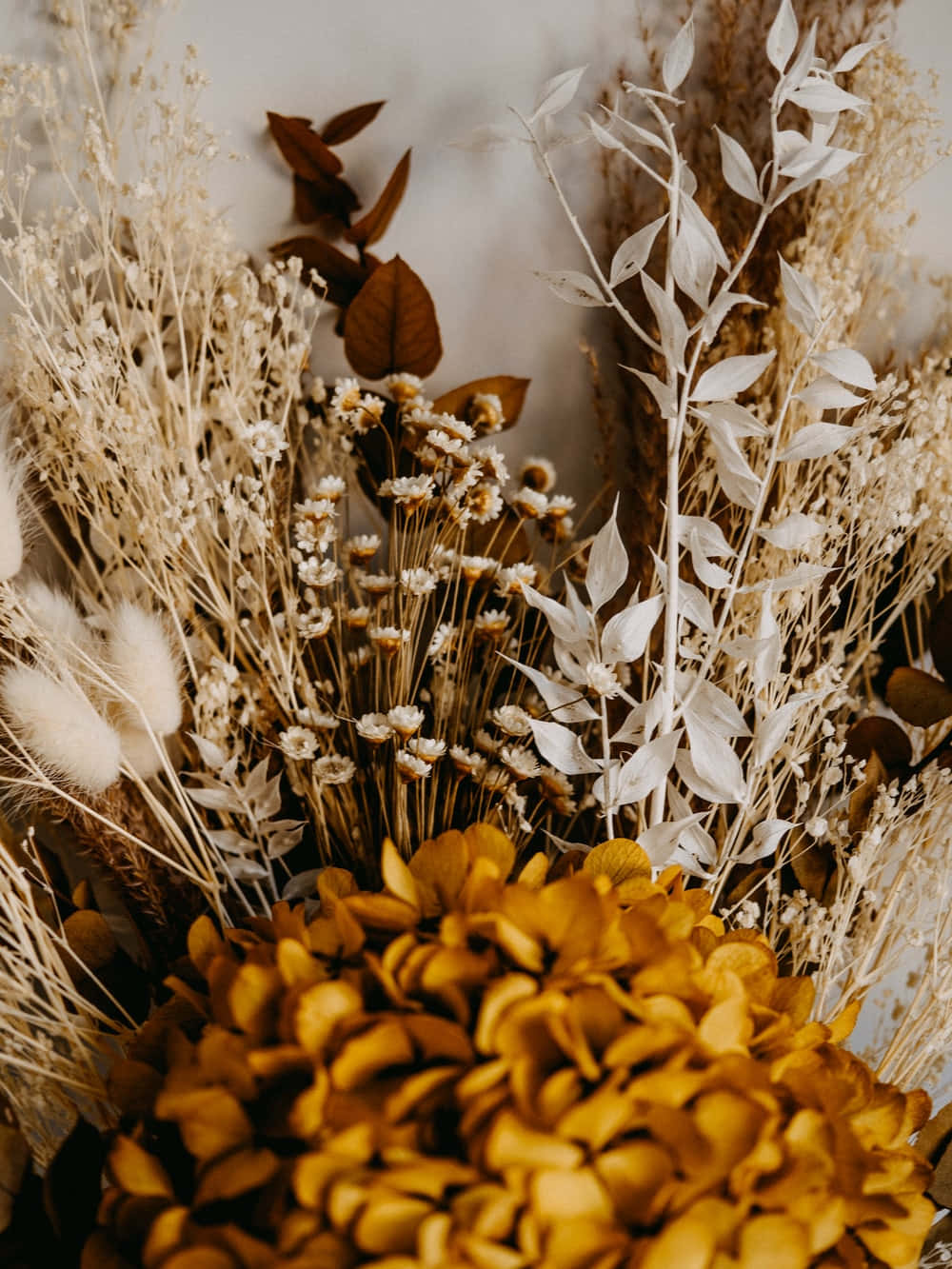 dried flowers, golden hydrangea, white foliage, HD Phone Wallpaper