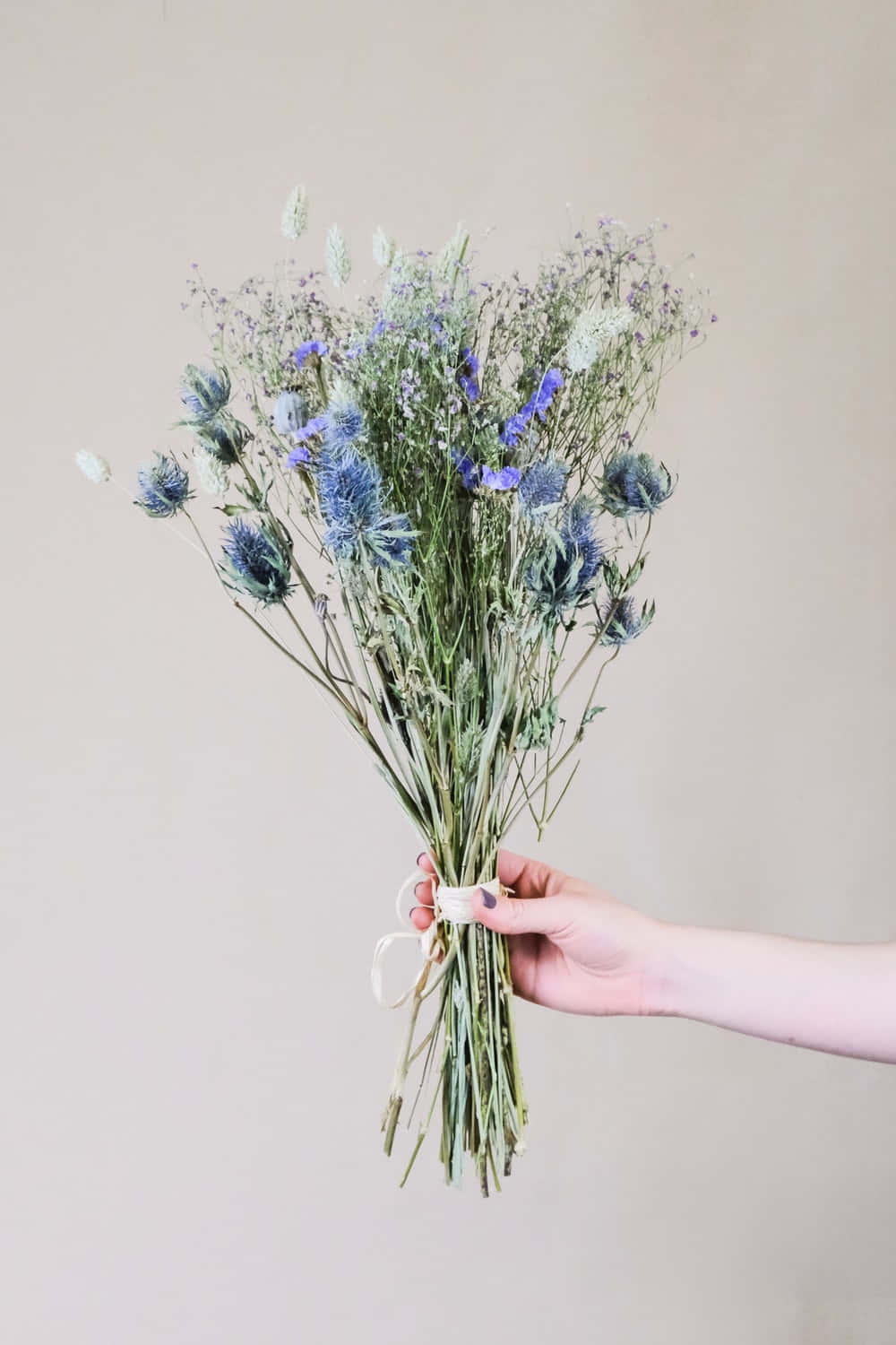 dried blue thistles, wildflowers, rustic wooden table, HD Phone Wallpaper