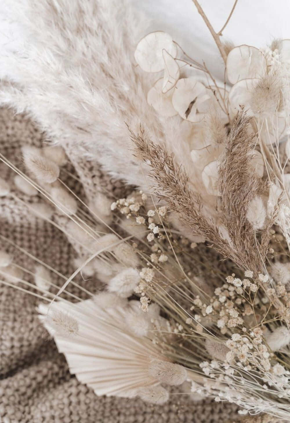 dried flowers, pampas grass, white flowers, HD Phone Wallpaper