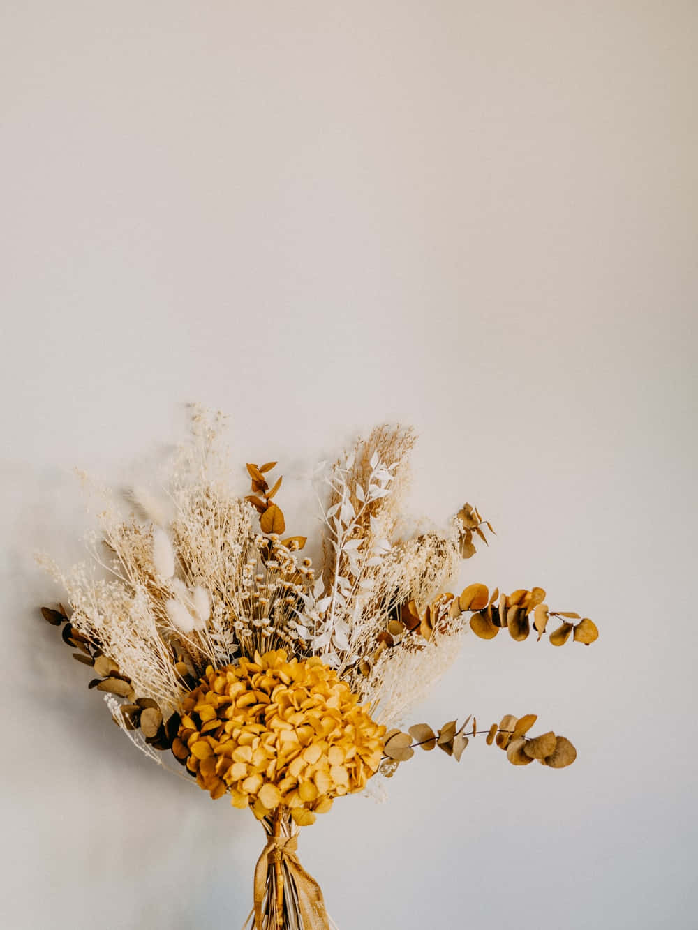 dried hydrangea, eucalyptus, pampas grass, HD Phone Wallpaper