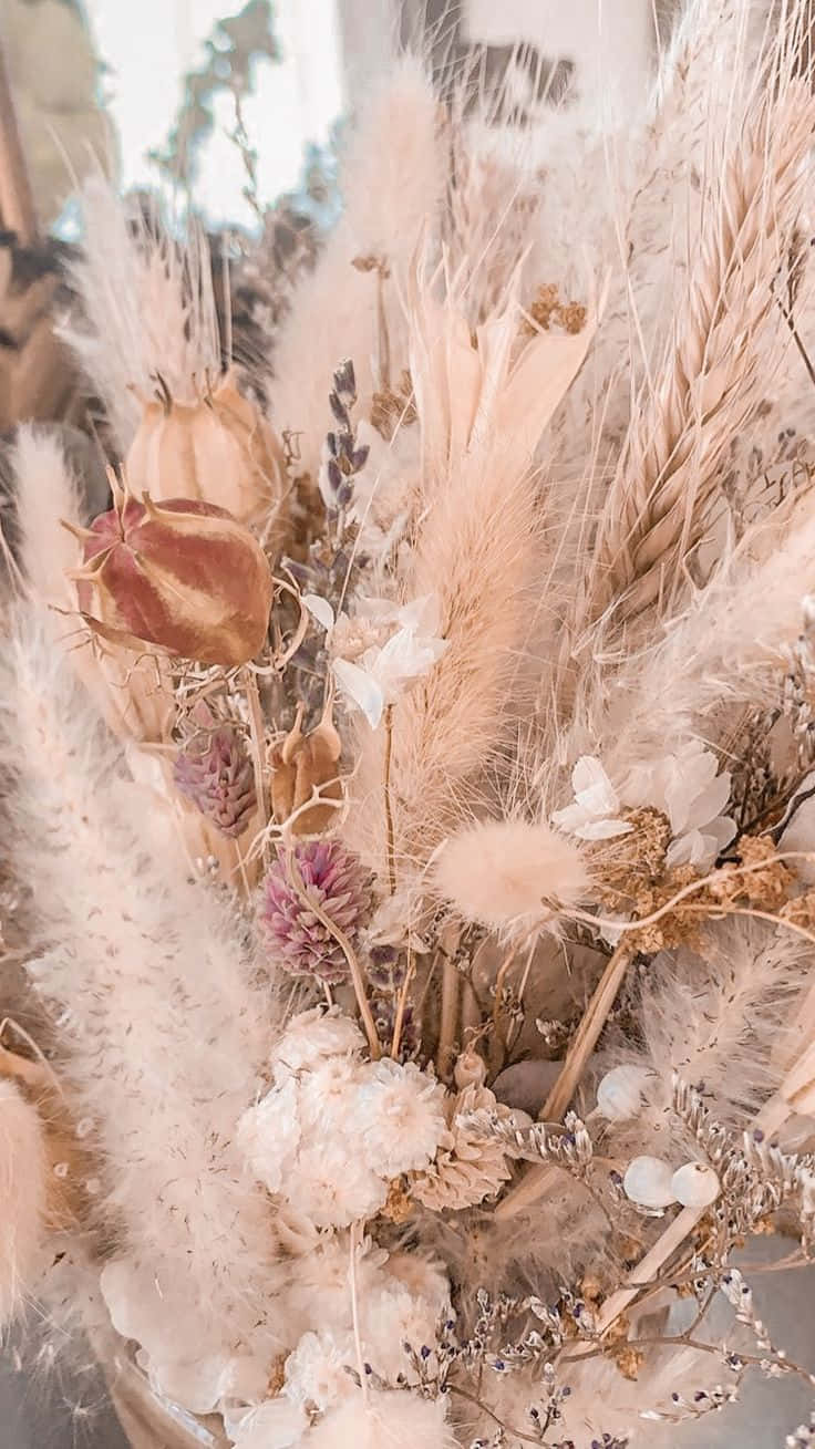 dried flowers, neutral colors, soft pastel, HD Phone Wallpaper