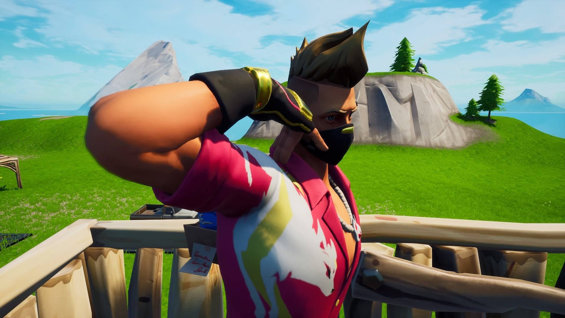 Fortnite, green field, wooden balcony, Full HD Desktop Wallpaper