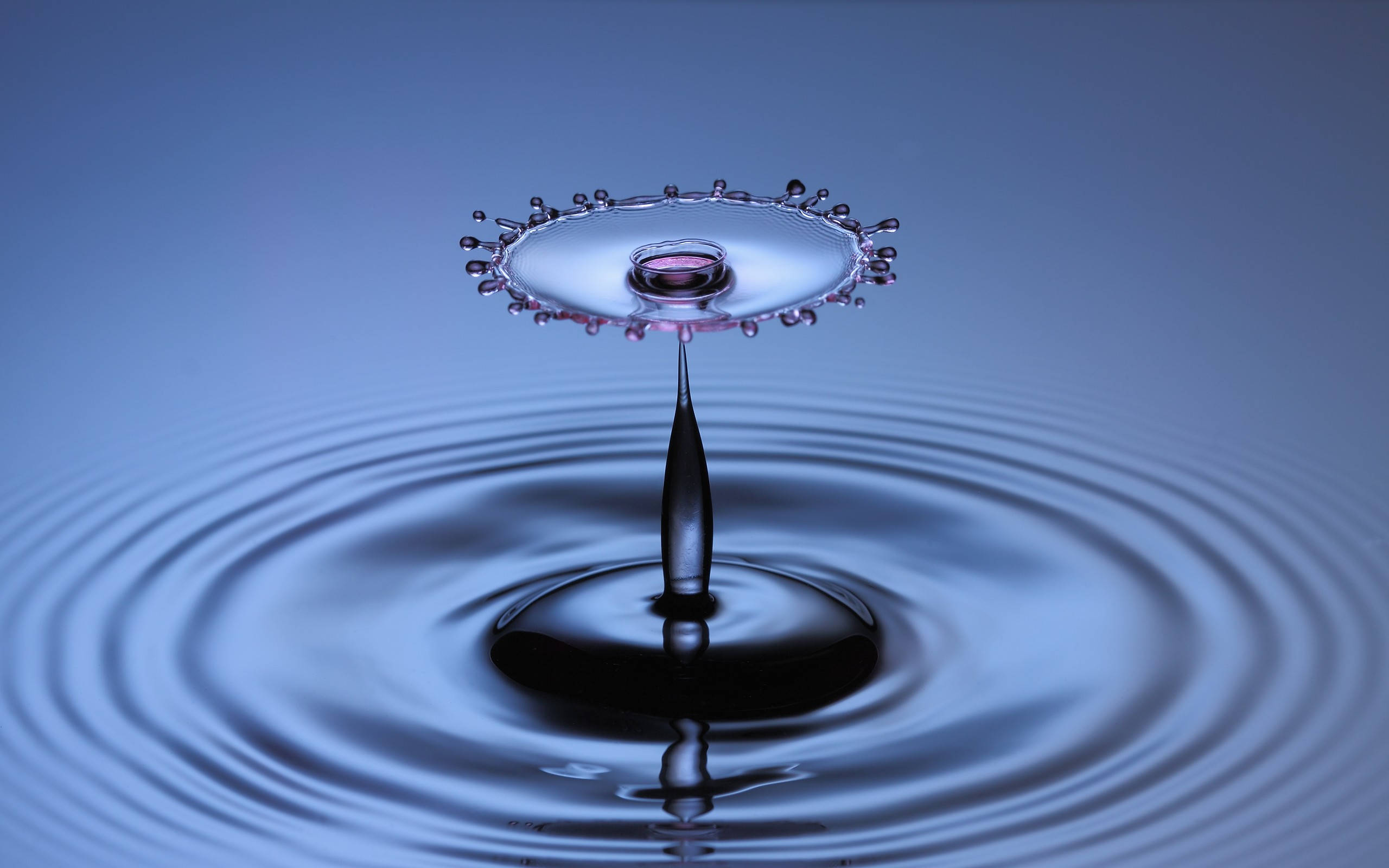 drippy aesthetic, water droplet crown, ripples, 2K Desktop Wallpaper