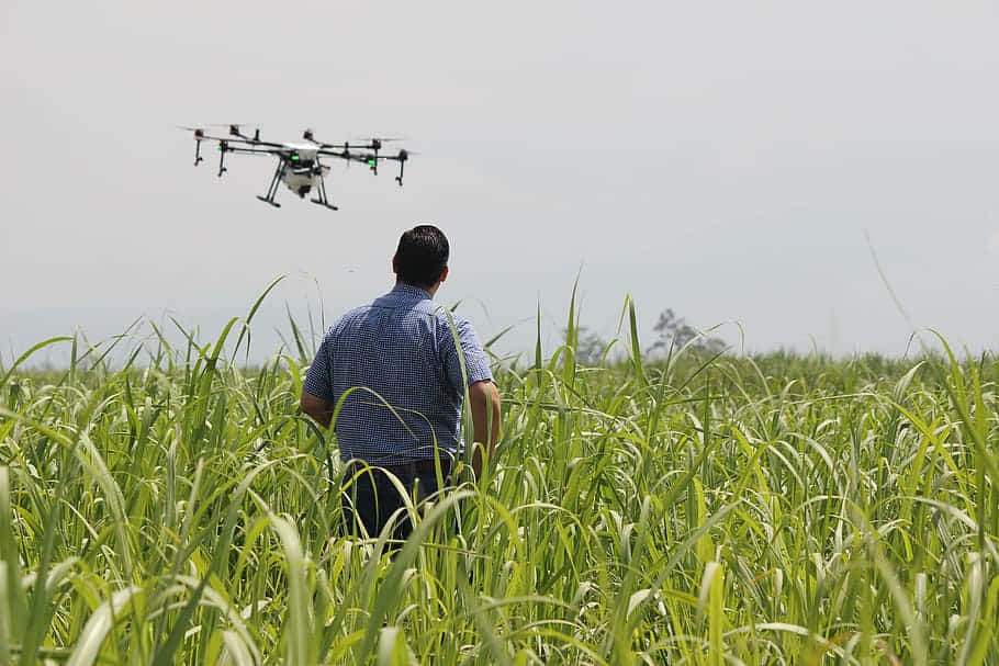 Precise Farming Drone, checkered shirt, tall green field, SD Desktop Wallpaper
