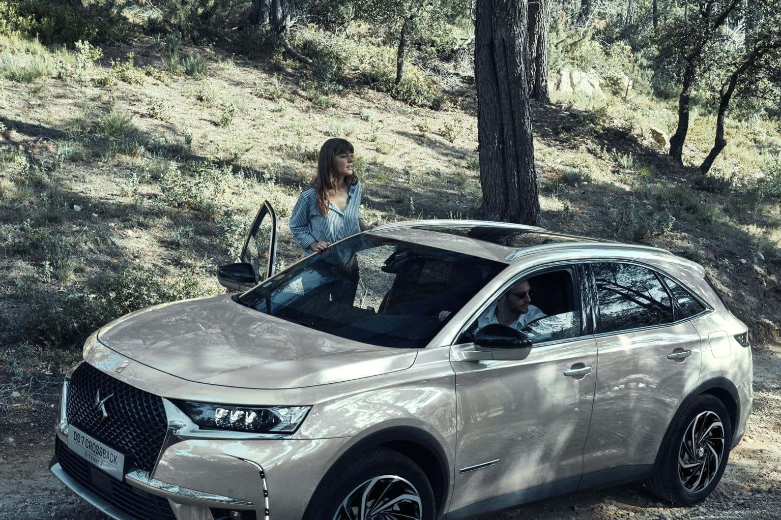 DS 7 Crossback E-Tense, silver, sunlit forest trail, HD Desktop Wallpaper