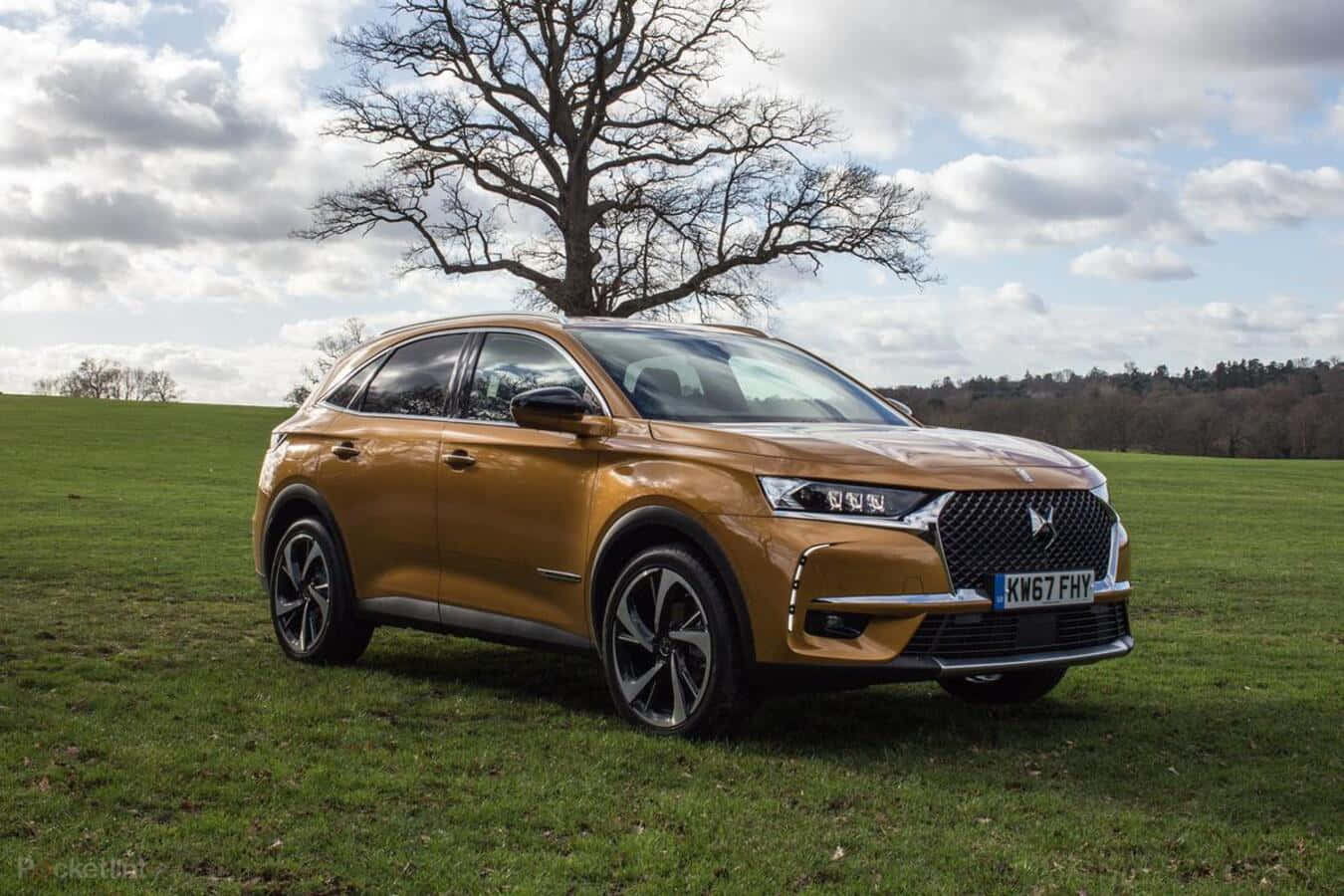 DS 7 Crossback E-Tense, grassy field, cloudy sky, HD Desktop Wallpaper