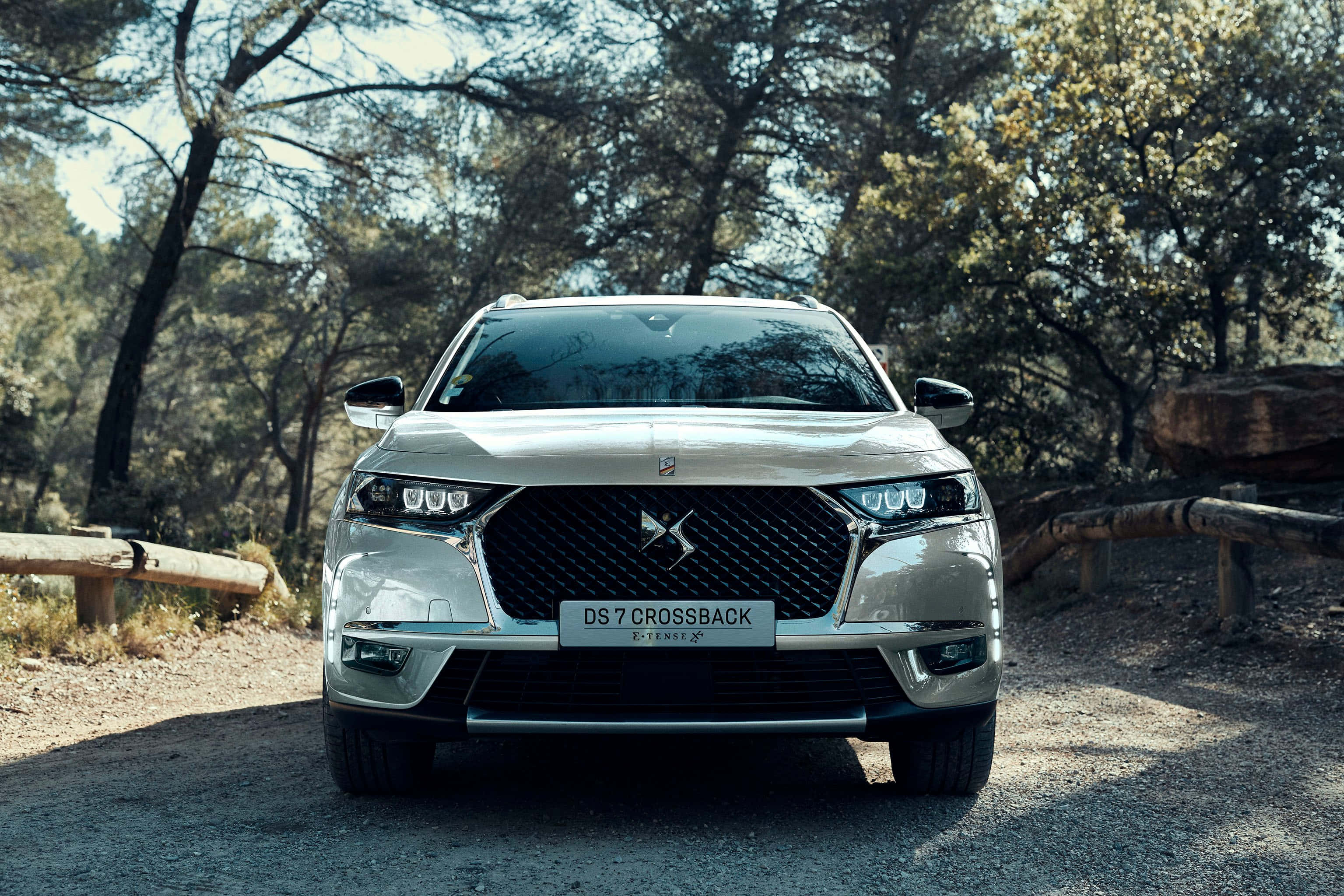 DS 7 Crossback E-Tense, silver, sunlit forest road, 2K Desktop Wallpaper