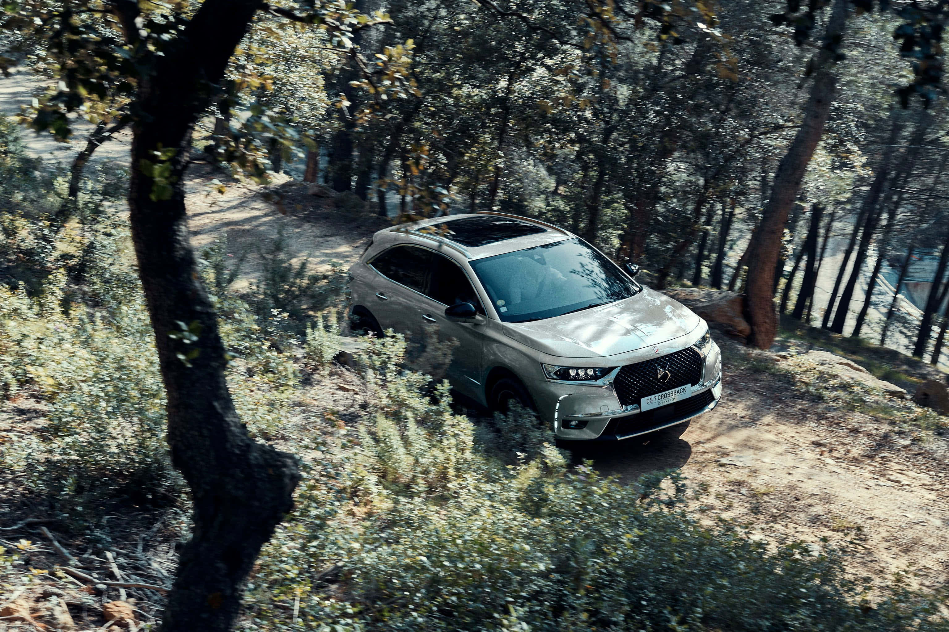 DS 7 Crossback E-Tense, silver, sunlit forest trail, 2K Desktop Wallpaper
