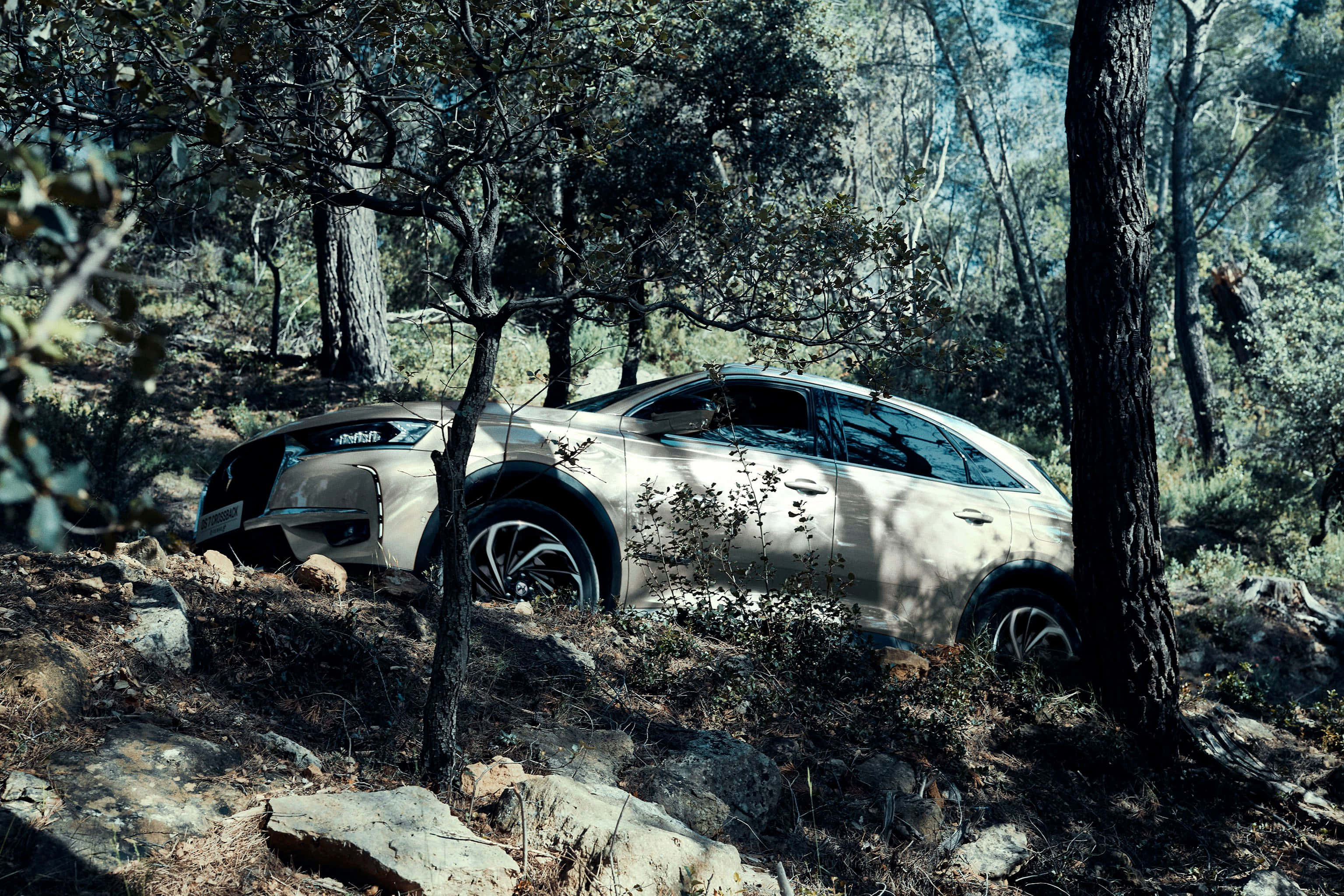 DS 7 Crossback E-Tense, beige, rocky forest trail, 2K Desktop Wallpaper