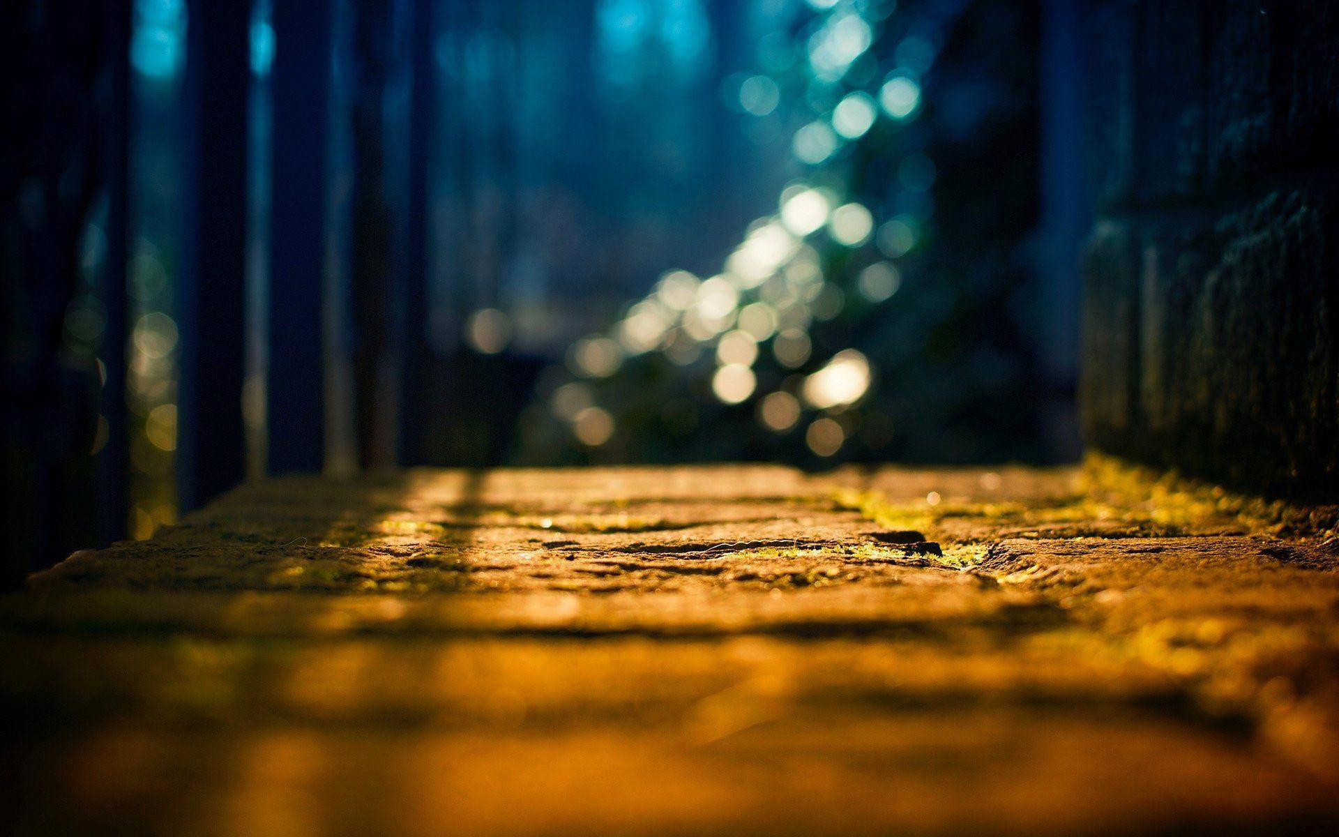 dslr blur, stone path, mossy stone steps, Full HD Desktop Wallpaper