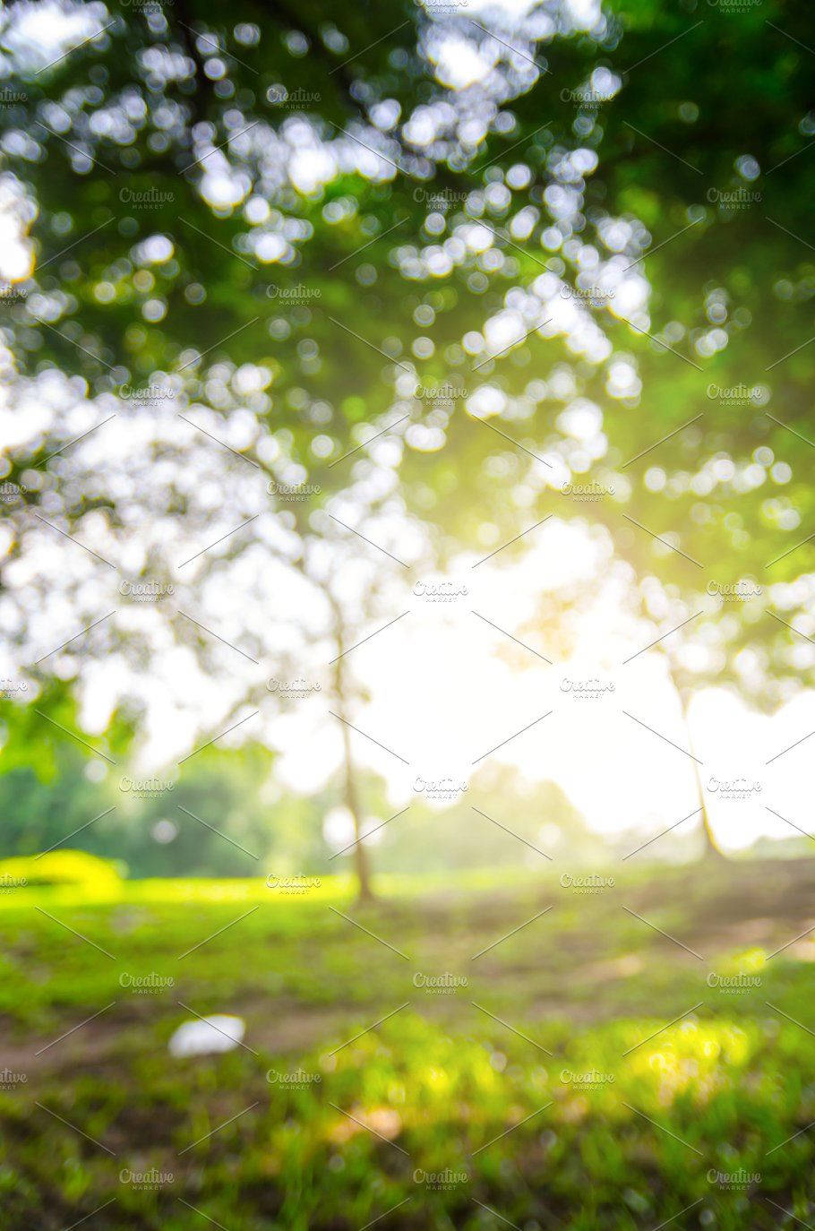 DSLR, blurred background, sunlight, HD Phone Wallpaper