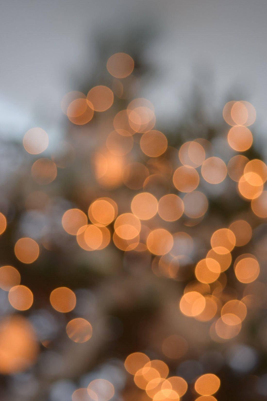 dslr blur, golden lights, muted gray sky, HD Phone Wallpaper