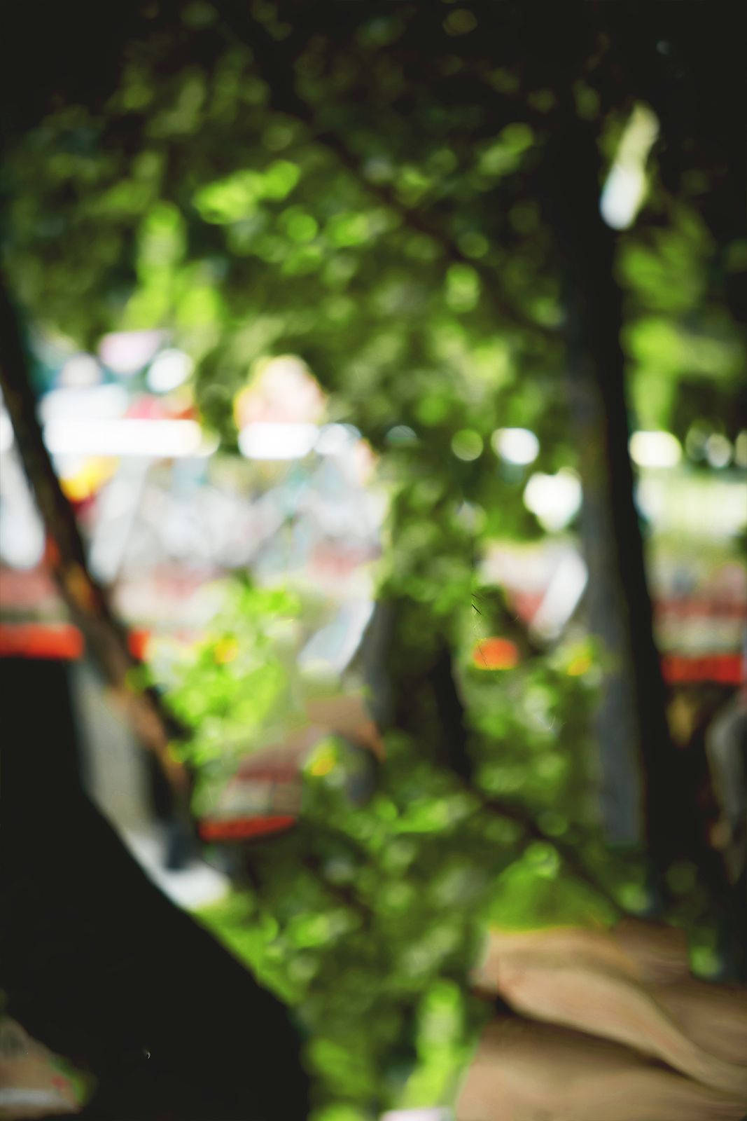 DSLR Blur, glowing green leaves, blurred city lights, HD Phone Wallpaper