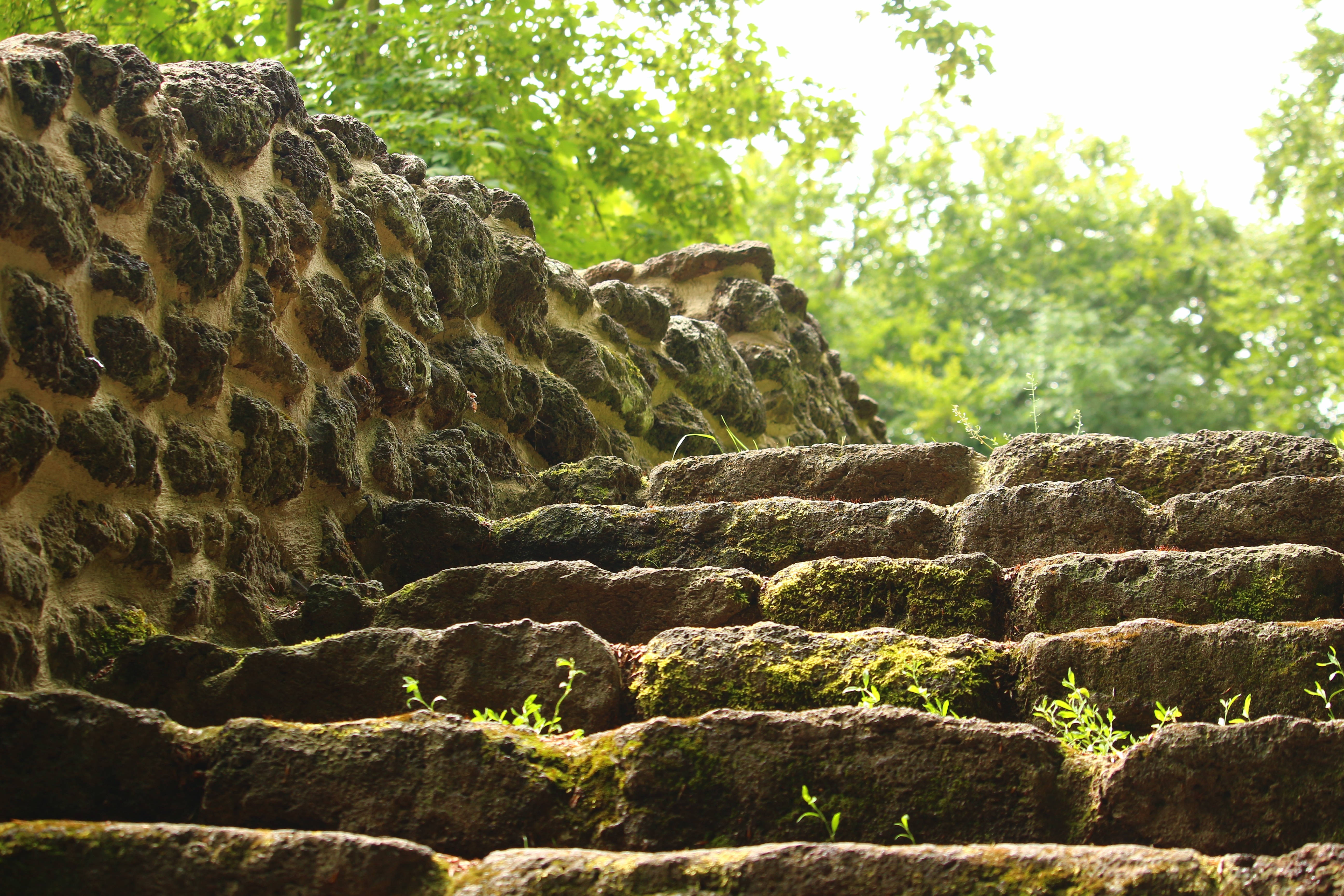 dslr blur, brown stone staircase, moss-covered stone steps, 5K Desktop Wallpaper