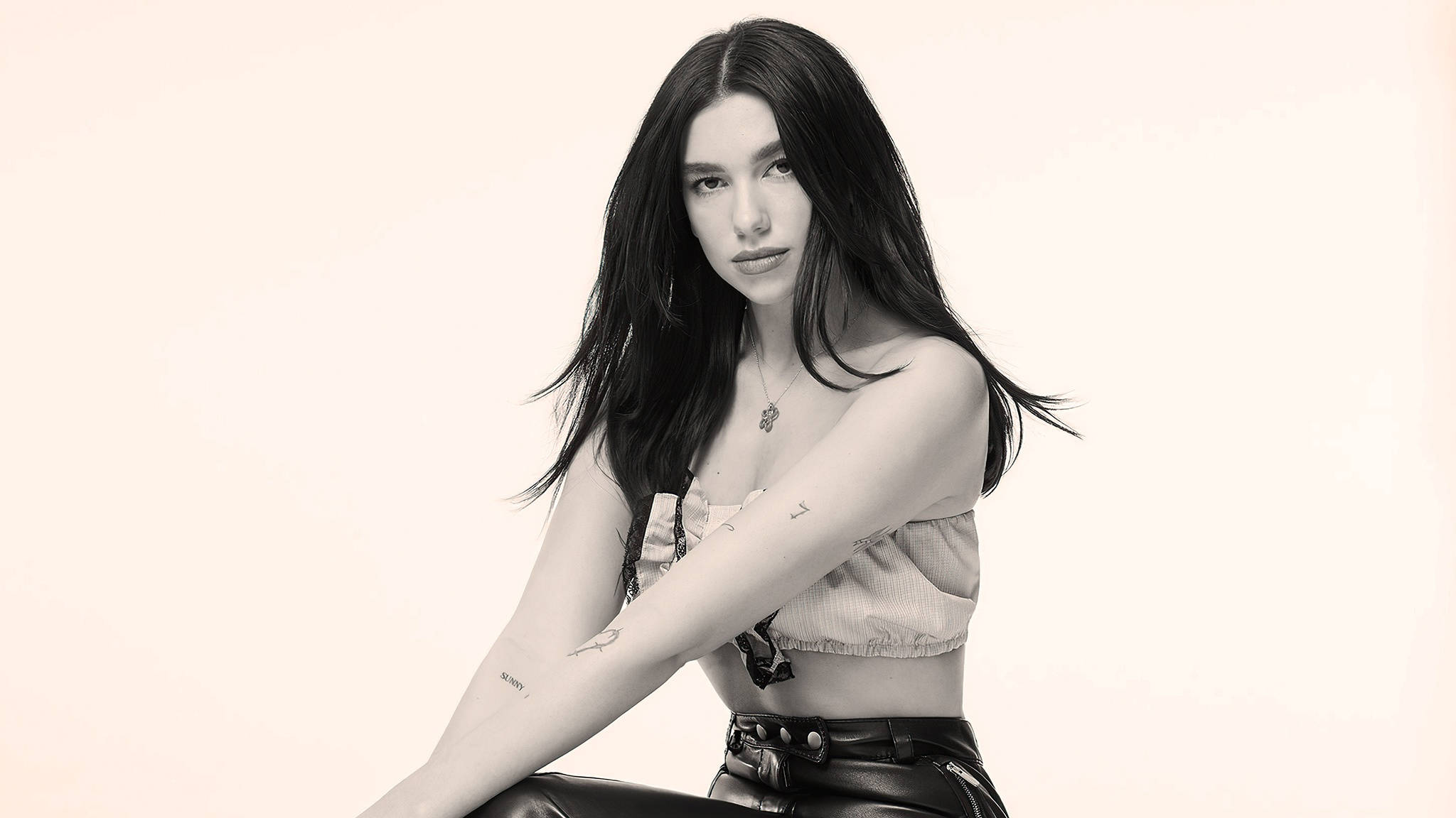 Dua Lipa, long dark hair, crop top, Full HD Desktop Wallpaper