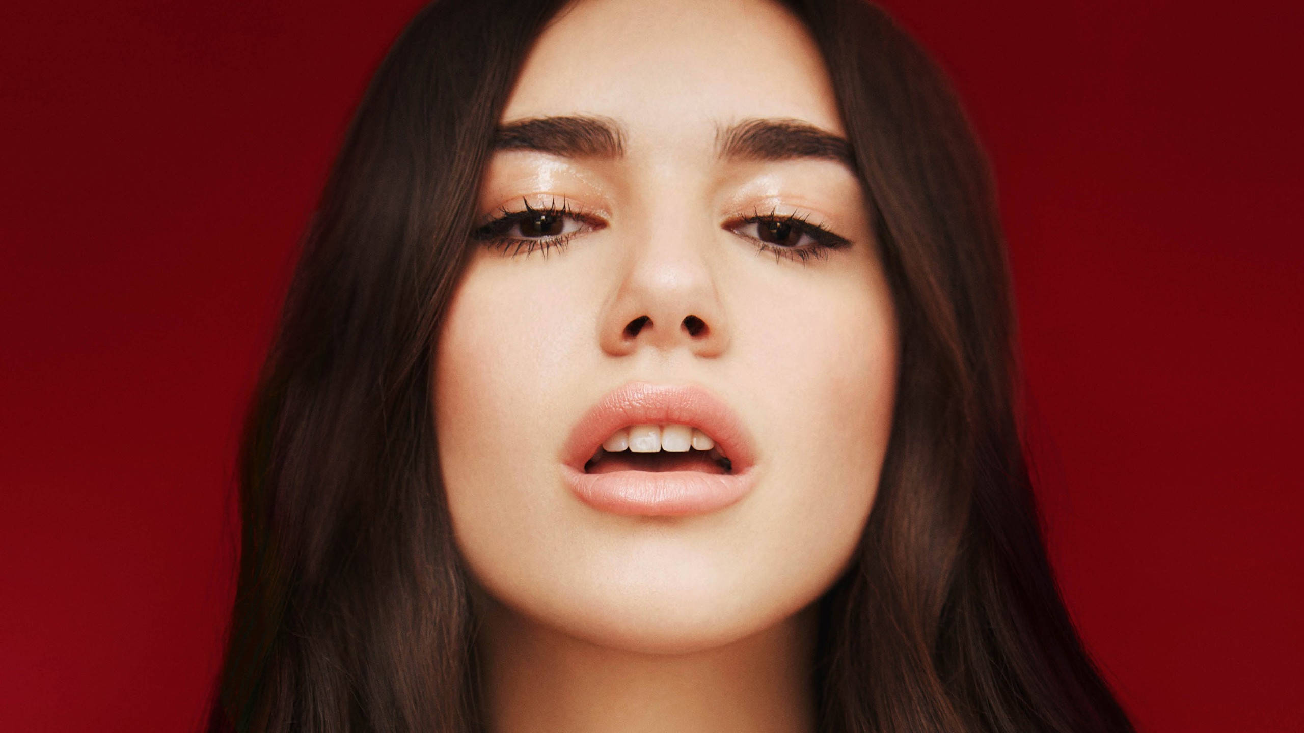 Dua Lipa, dark hair, soft makeup, 2K Desktop Wallpaper