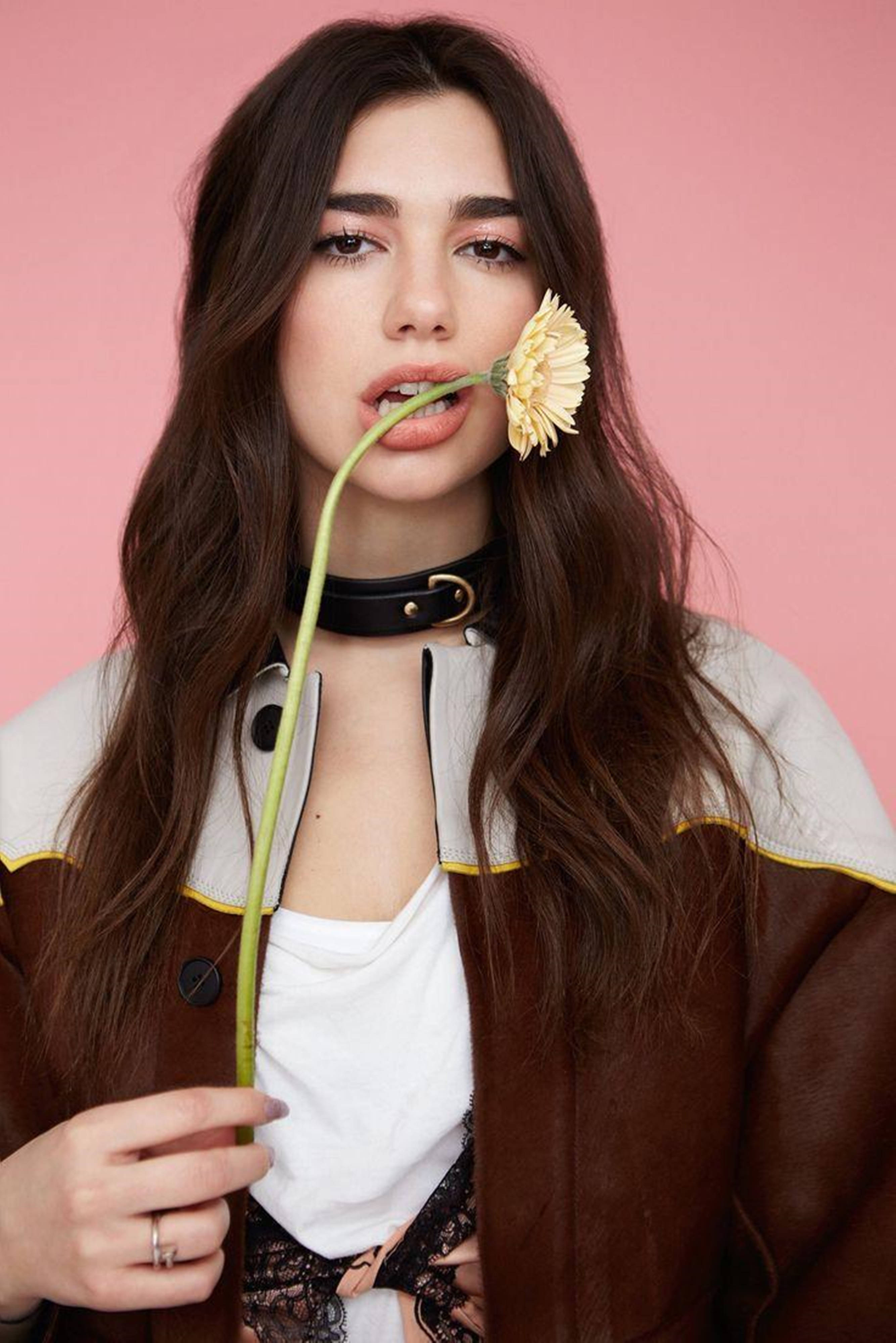 Dua Lipa, yellow flower, soft pink studio background, 4K Phone Wallpaper