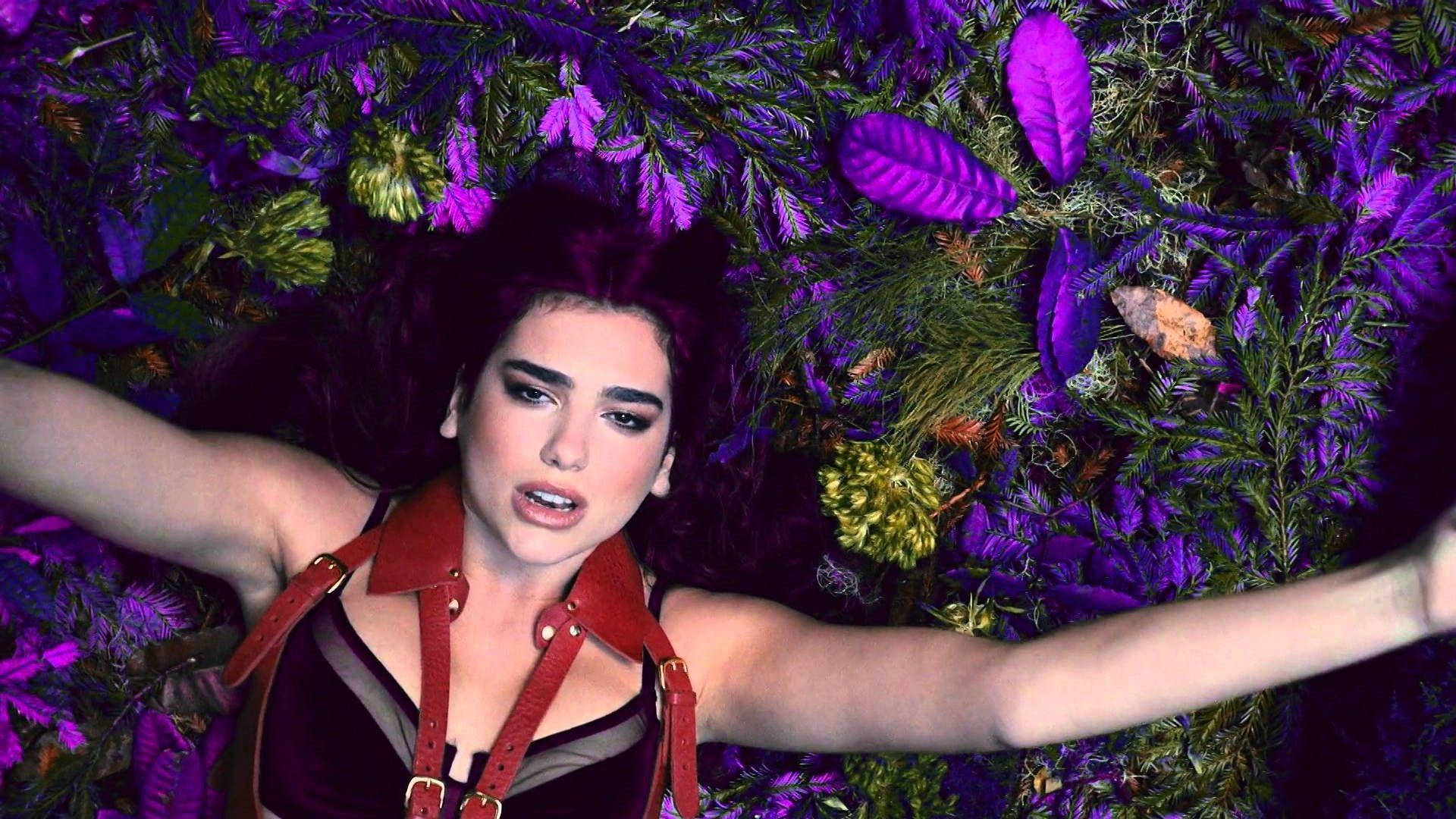 Dua Lipa, purple grass, dark hair, Full HD Desktop Wallpaper