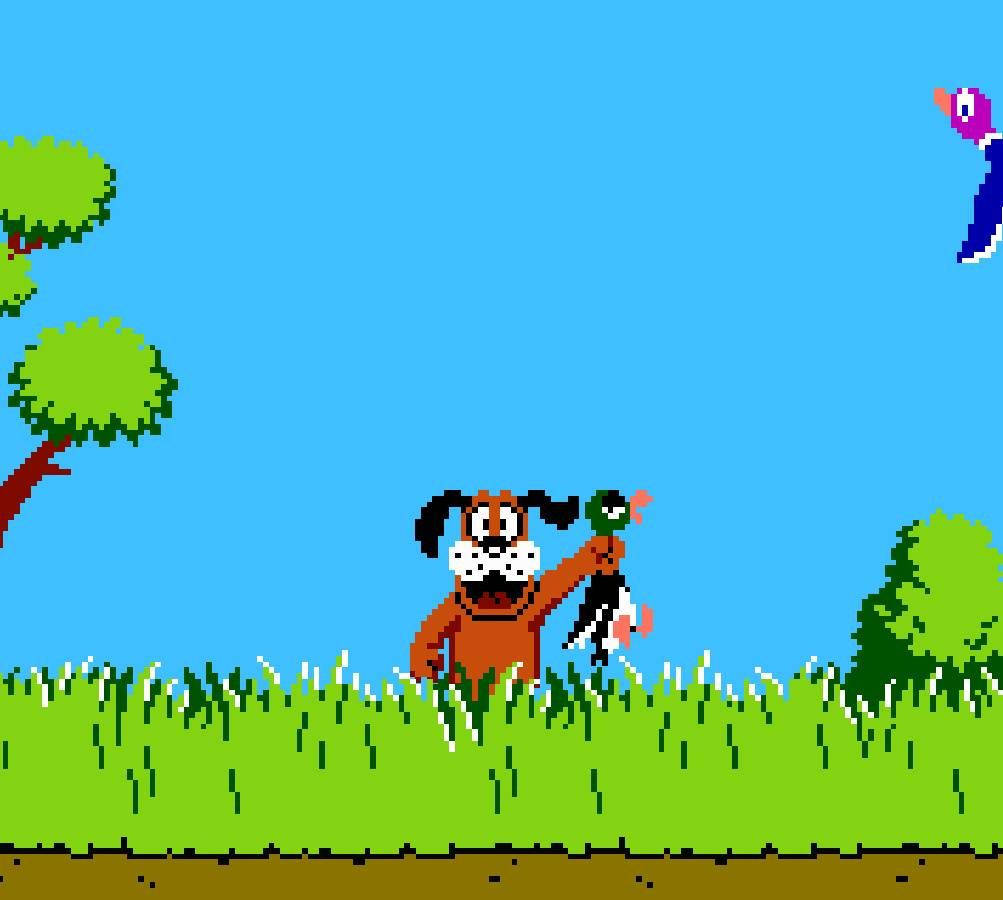 Duck Hunt, pixelated dog, grassy field, SD Desktop Wallpaper