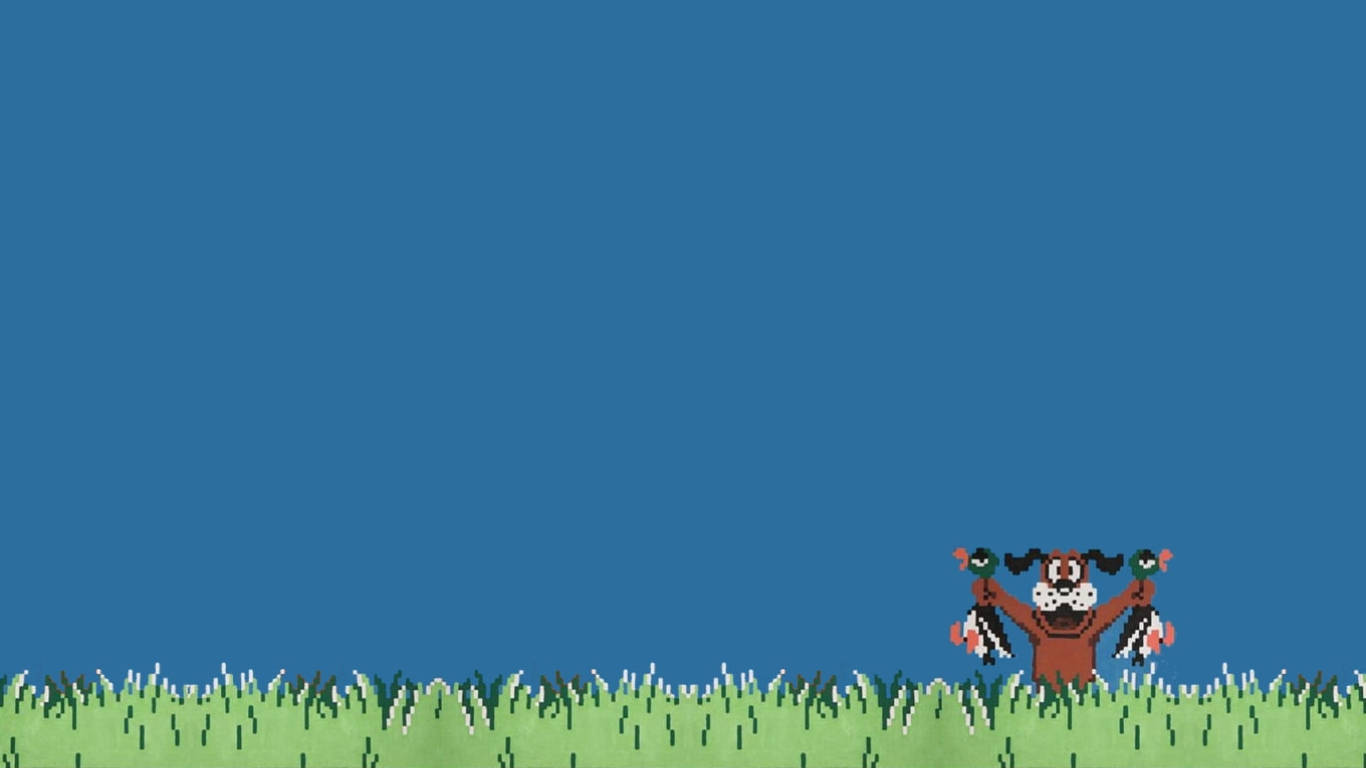 Duck Hunt, brown dog, black ears, HD Desktop Wallpaper