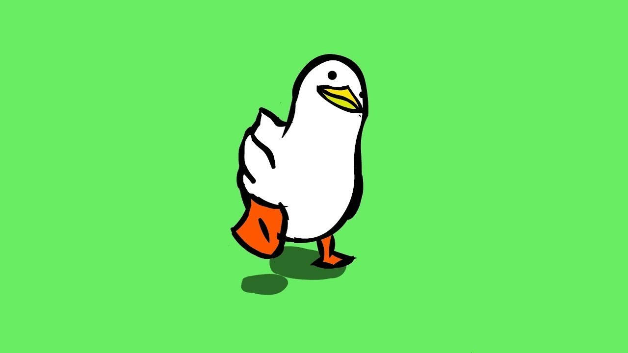 duck, orange feet, orange beak, HD Desktop Wallpaper