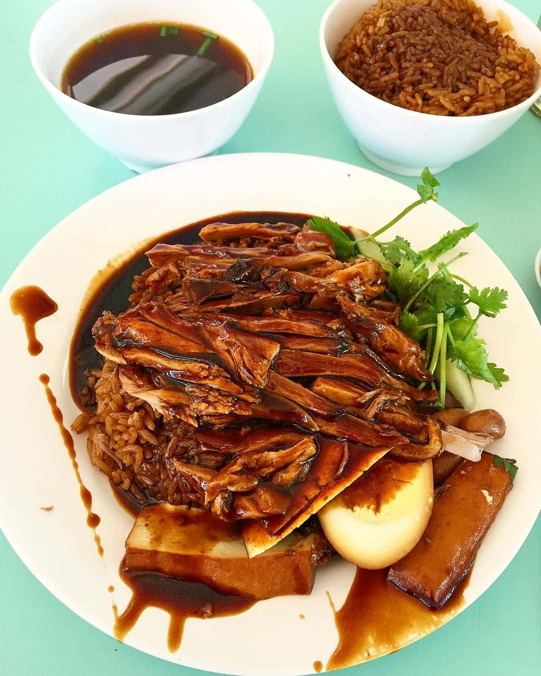savory duck rice, glossy braised duck, mint green surface, HD Phone Wallpaper