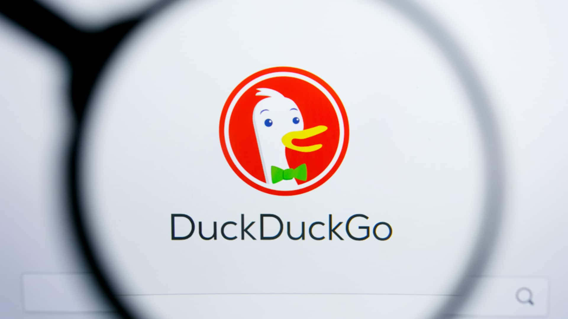 DuckDuckGo, magnifying glass, white duck, Full HD Desktop Wallpaper