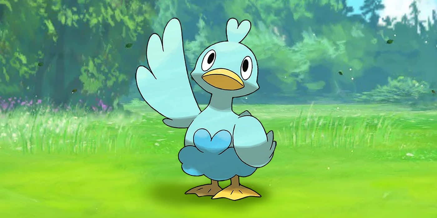 Ducklett, grassy plain, sunlit, HD Desktop Wallpaper
